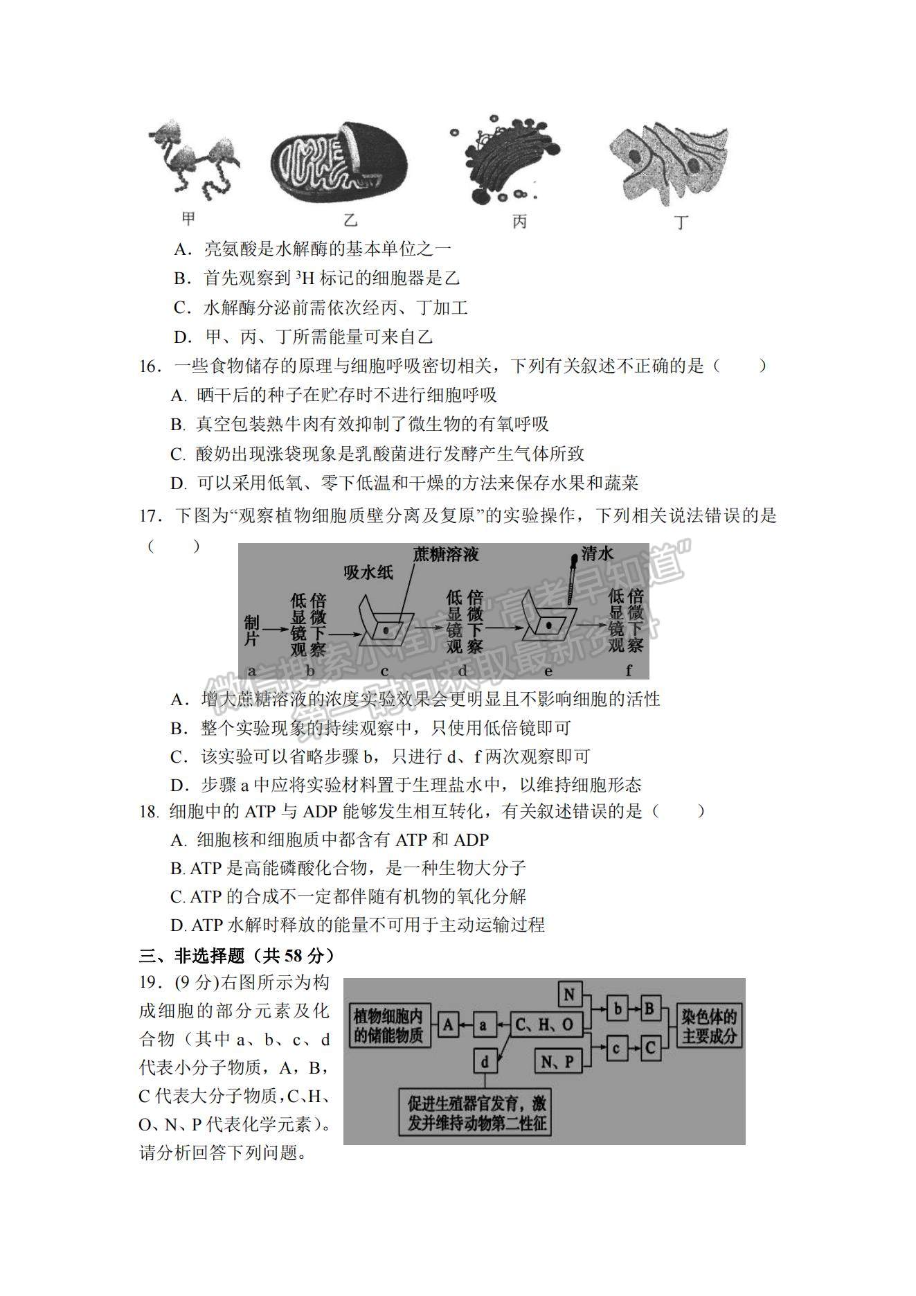 2021河北省邯鄲市曲周縣一中高一下學(xué)期開學(xué)考試生物試題及參考答案