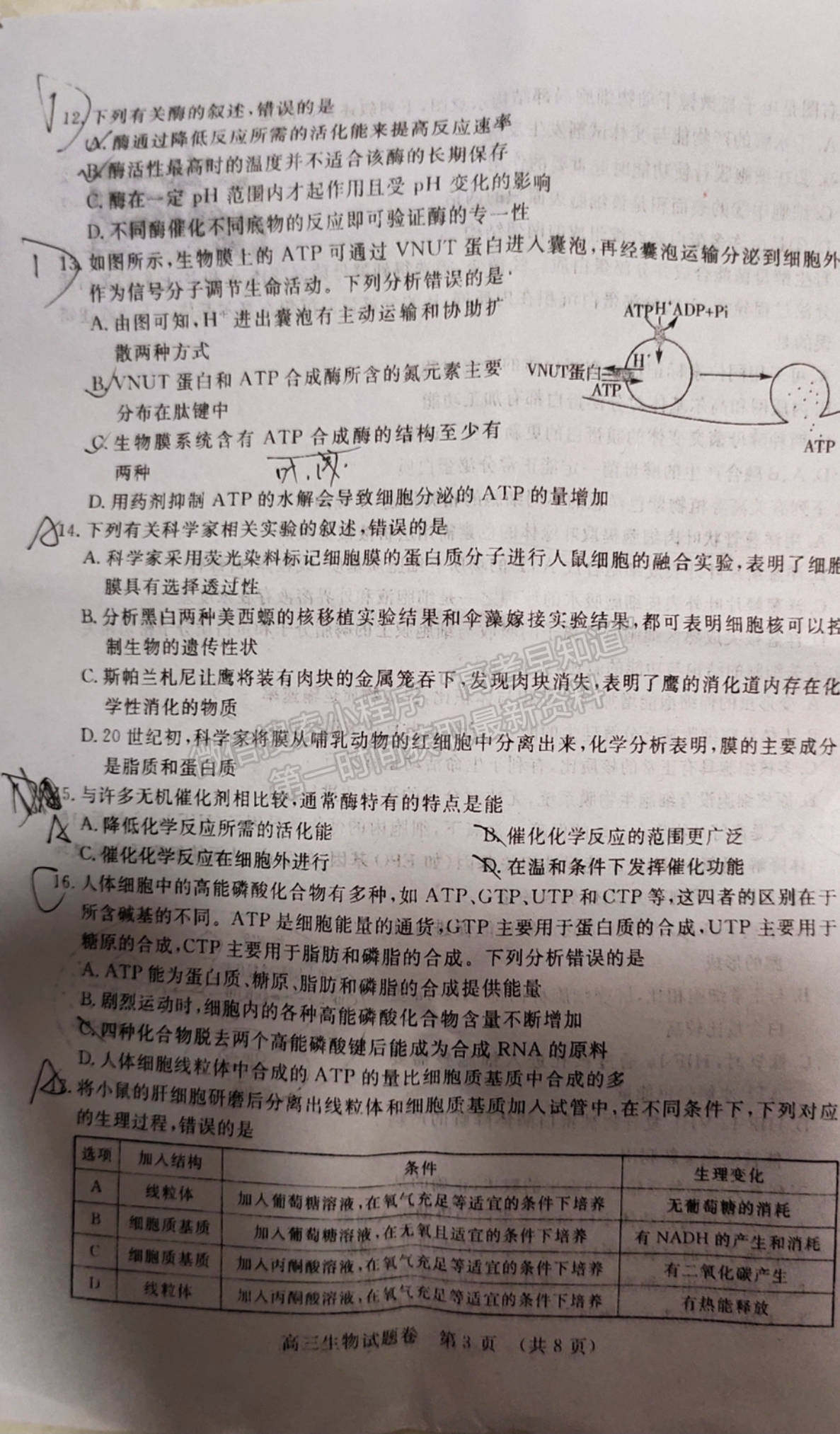 2022江西省高三上學期階段性教學質量監(jiān)測卷生物試卷及答案