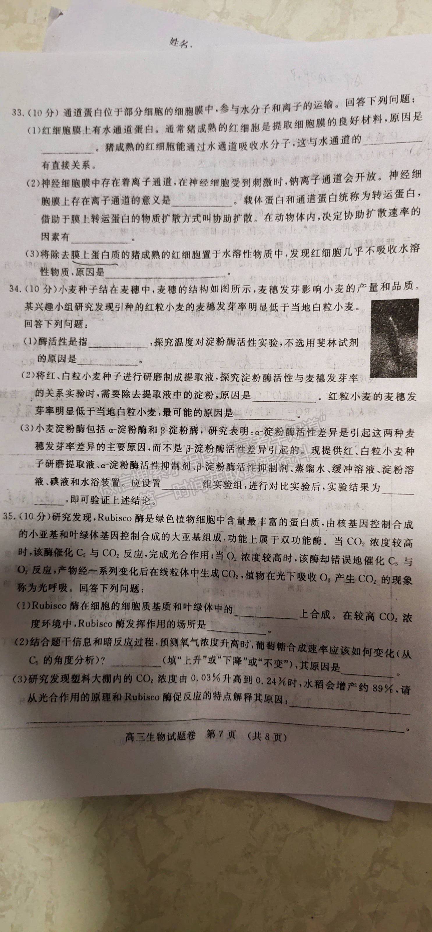 2022江西省高三上學(xué)期階段性教學(xué)質(zhì)量監(jiān)測卷生物試卷及答案