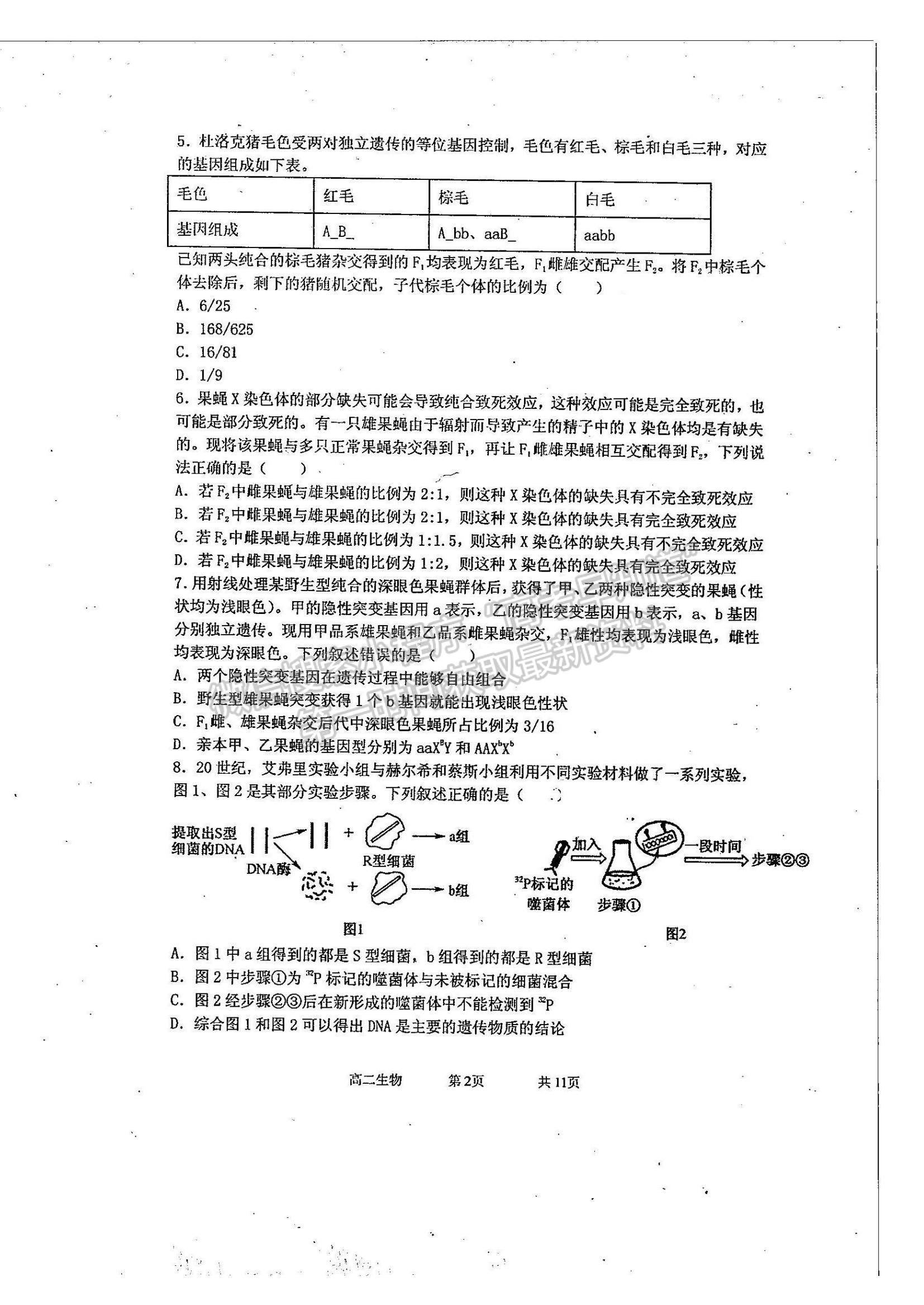 2021河北省石家莊二中實驗學校高二上學期開學學情調研考試生物試題及參考答案