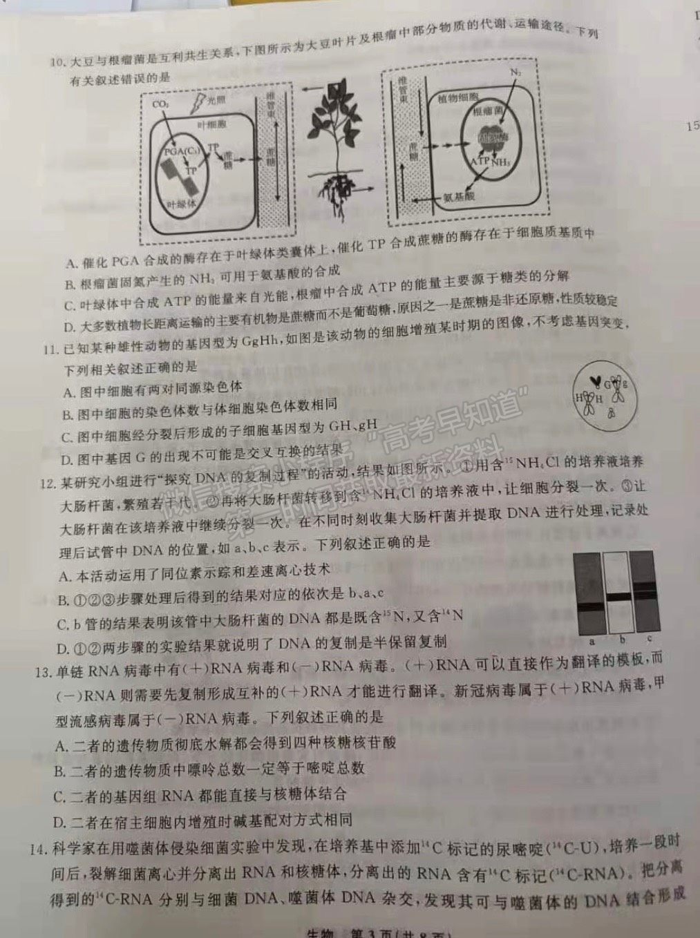 2022遼寧名校聯(lián)盟高三10月聯(lián)考生物試題及參考答案