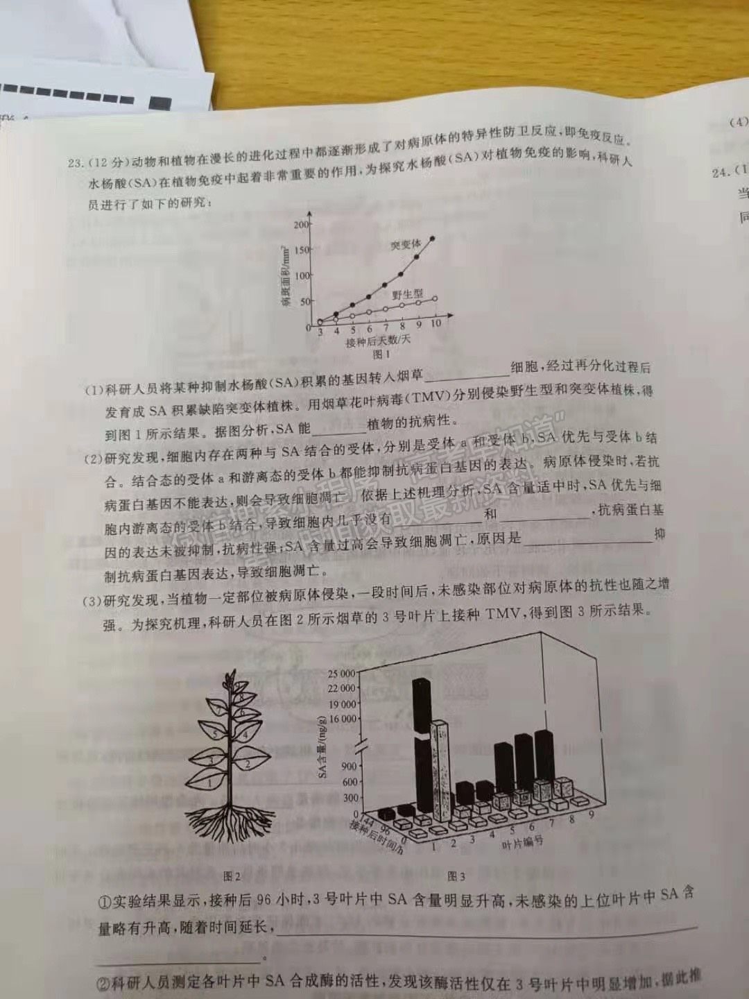 2022遼寧名校聯(lián)盟高三10月聯(lián)考生物試題及參考答案