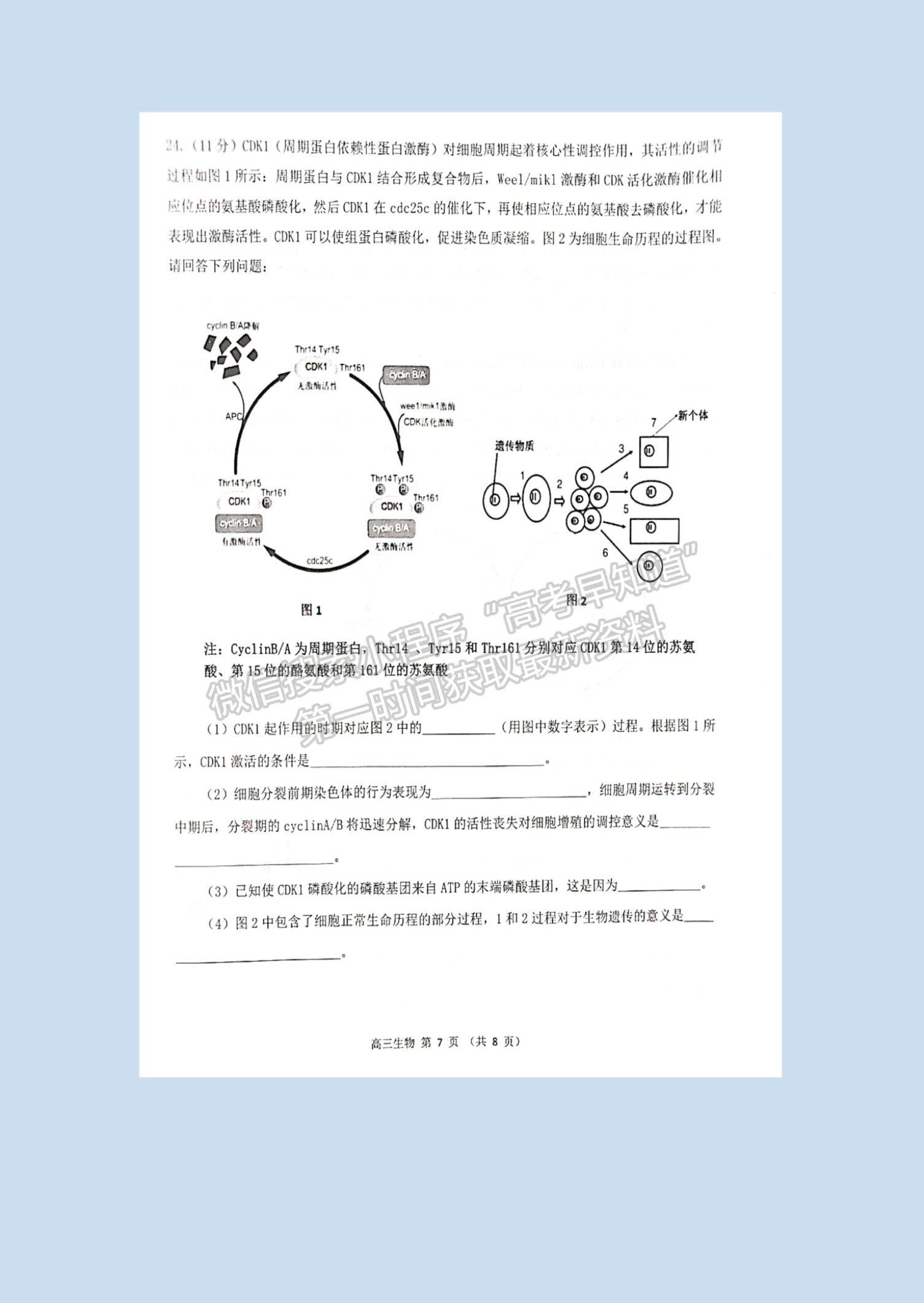 2022山東省濰坊市高三10月階段性檢生物試卷及參考答案