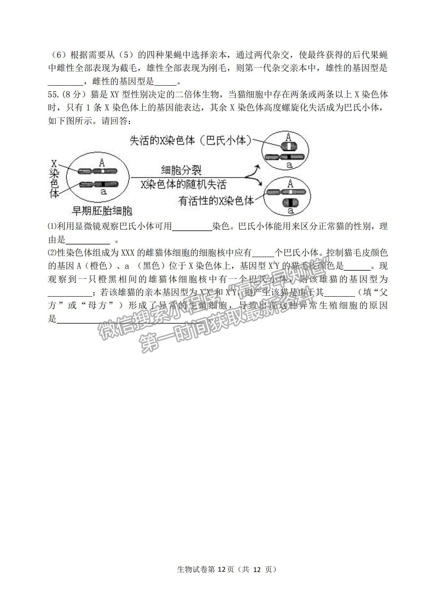 2022哈三中高三第二次驗(yàn)收考試生物試題及參考答案