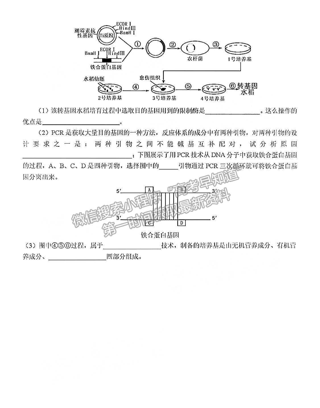 2022河南省南陽一中高三第二次月考生物試題及參考答案