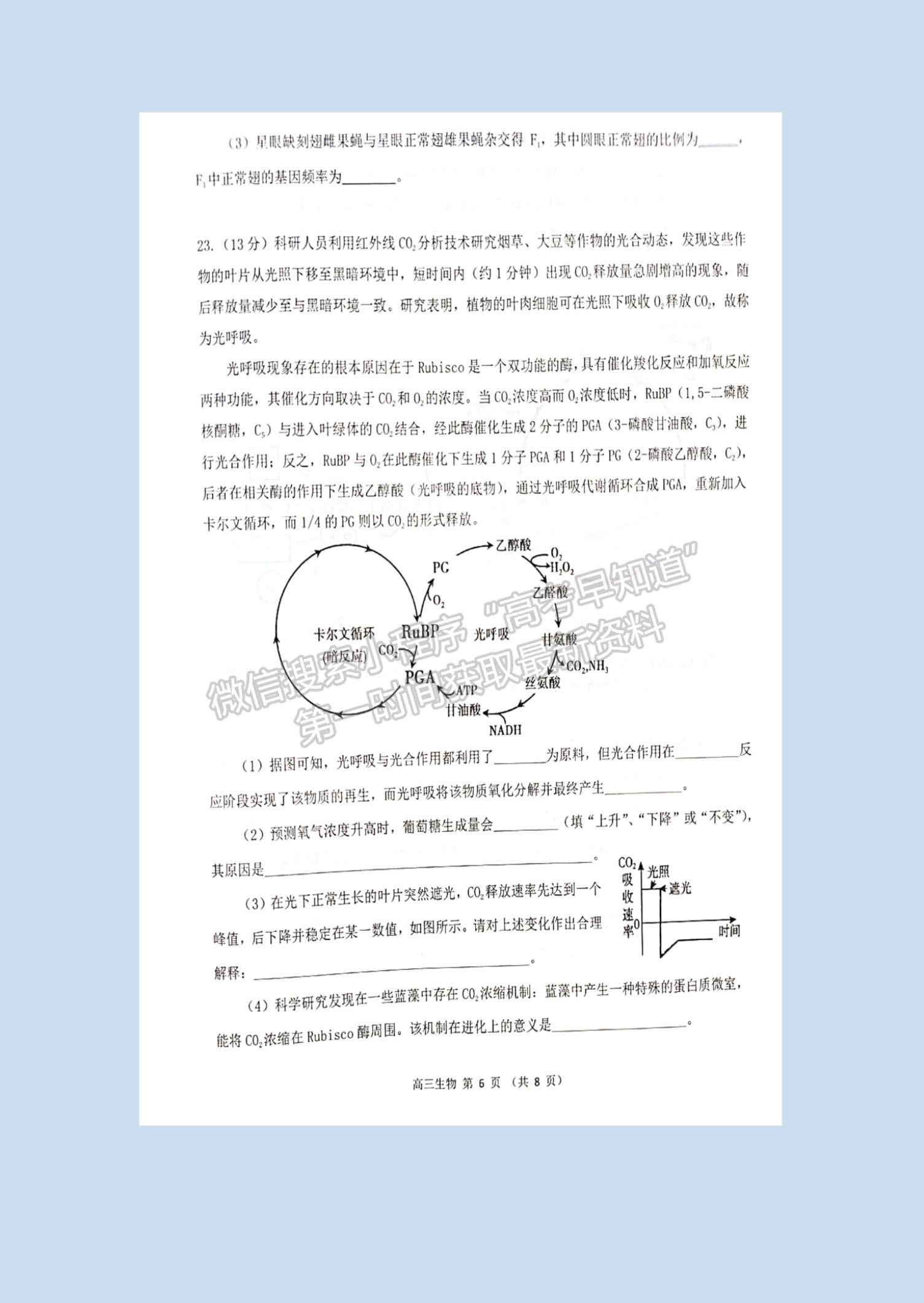 2022山東省濰坊市高三10月階段性檢生物試卷及參考答案