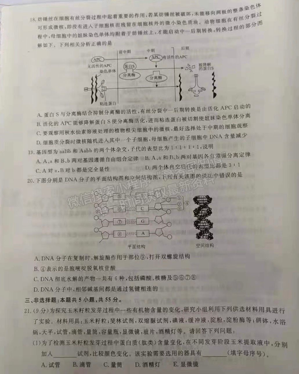 2022遼寧名校聯(lián)盟高三10月聯(lián)考生物試題及參考答案