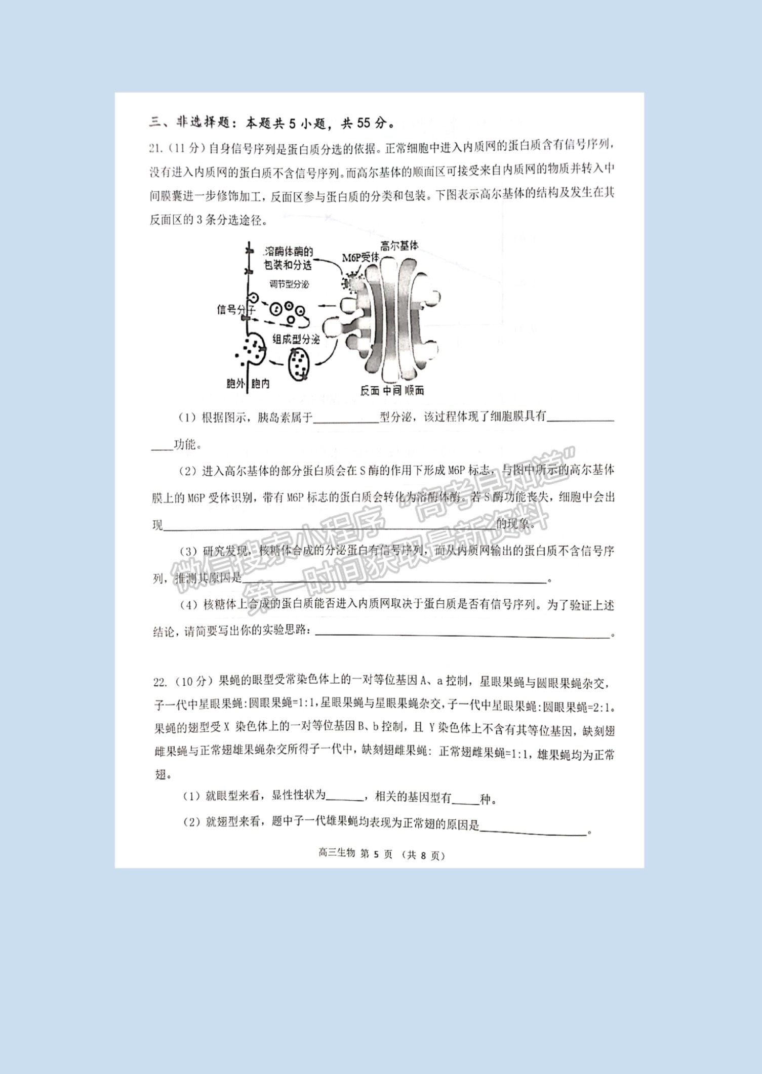 2022山東省濰坊市高三10月階段性檢生物試卷及參考答案