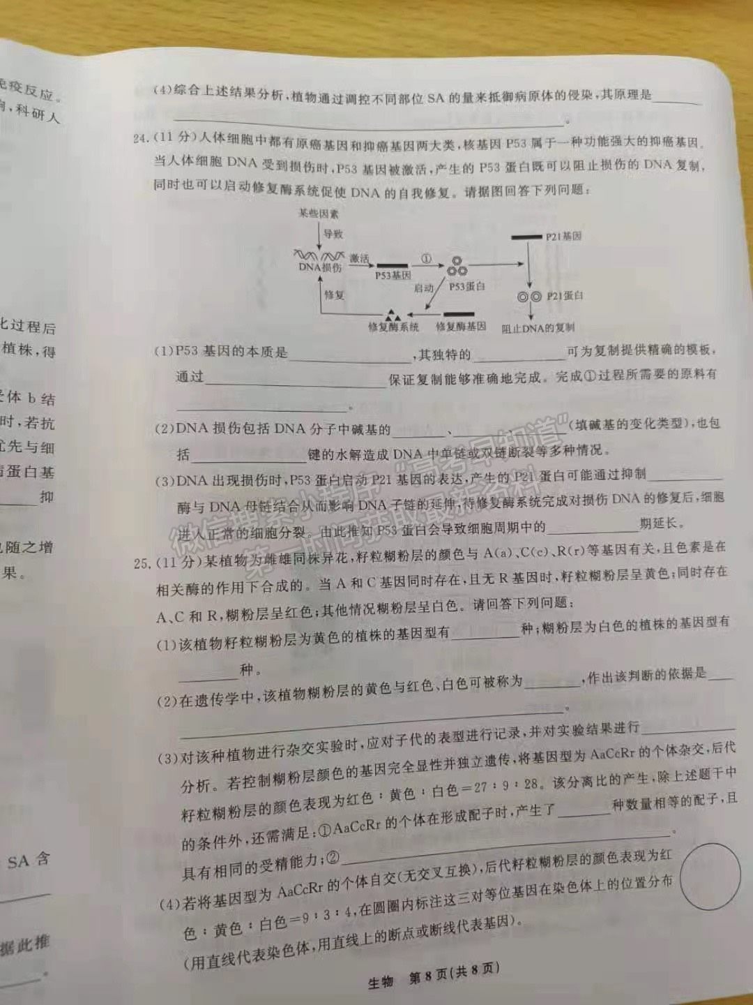 2022遼寧名校聯(lián)盟高三10月聯(lián)考生物試題及參考答案