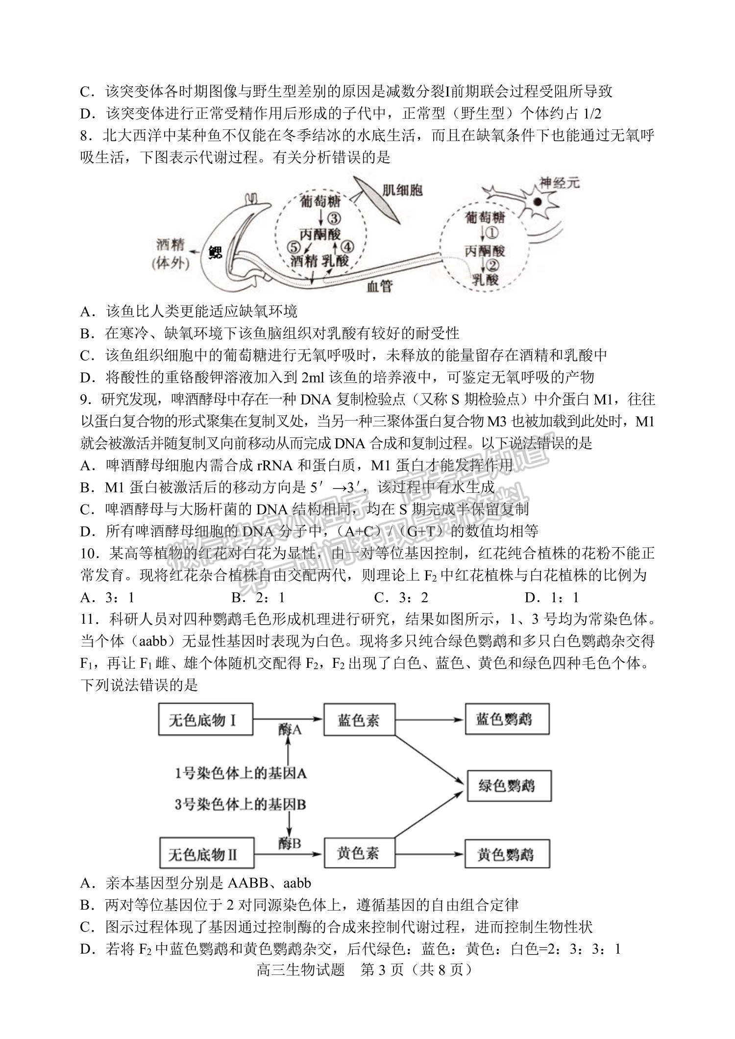 2022山東省濰坊安丘市等三縣高三10月過程性測試生物試題及參考答案