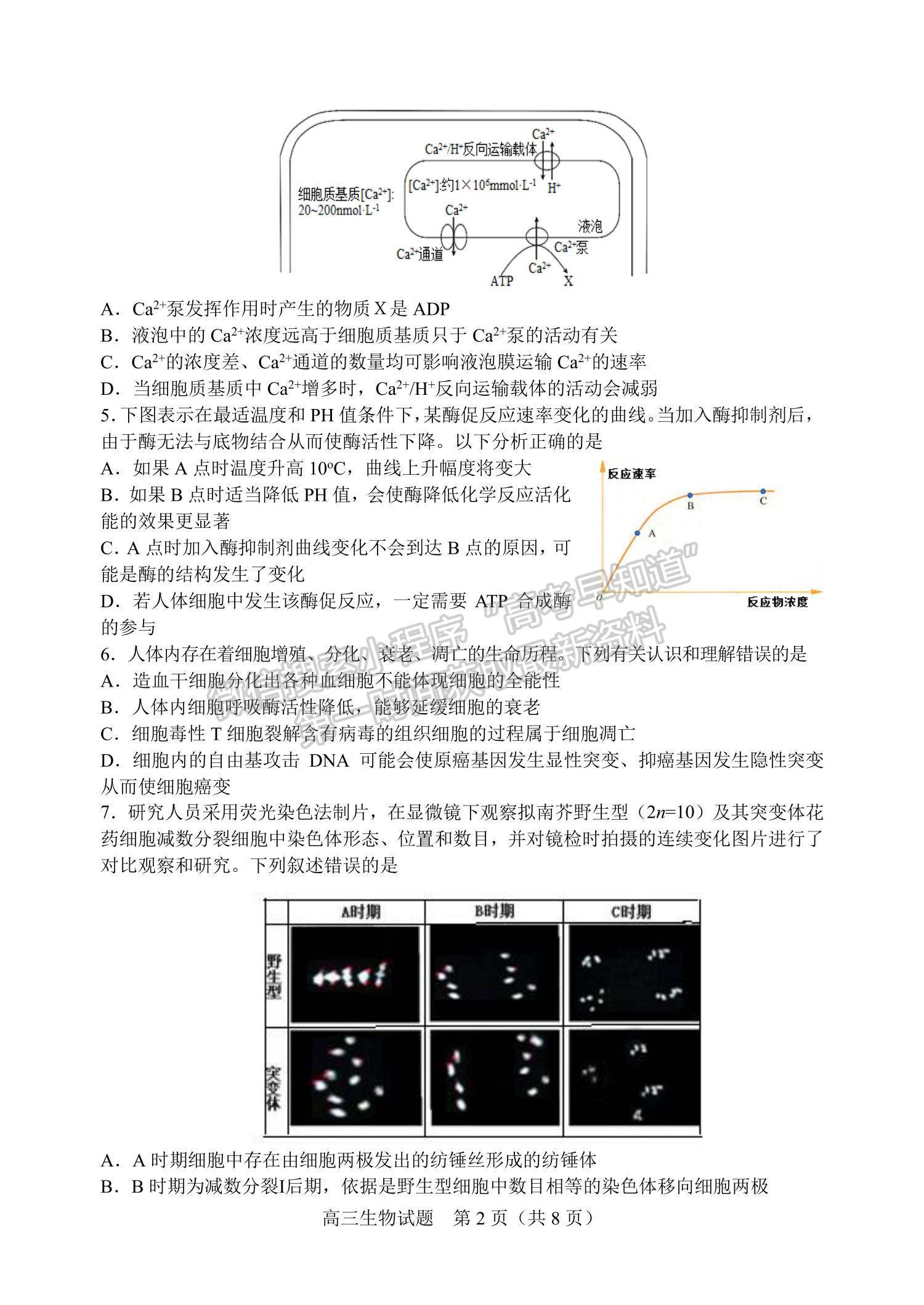 2022山東省濰坊安丘市等三縣高三10月過程性測試生物試題及參考答案