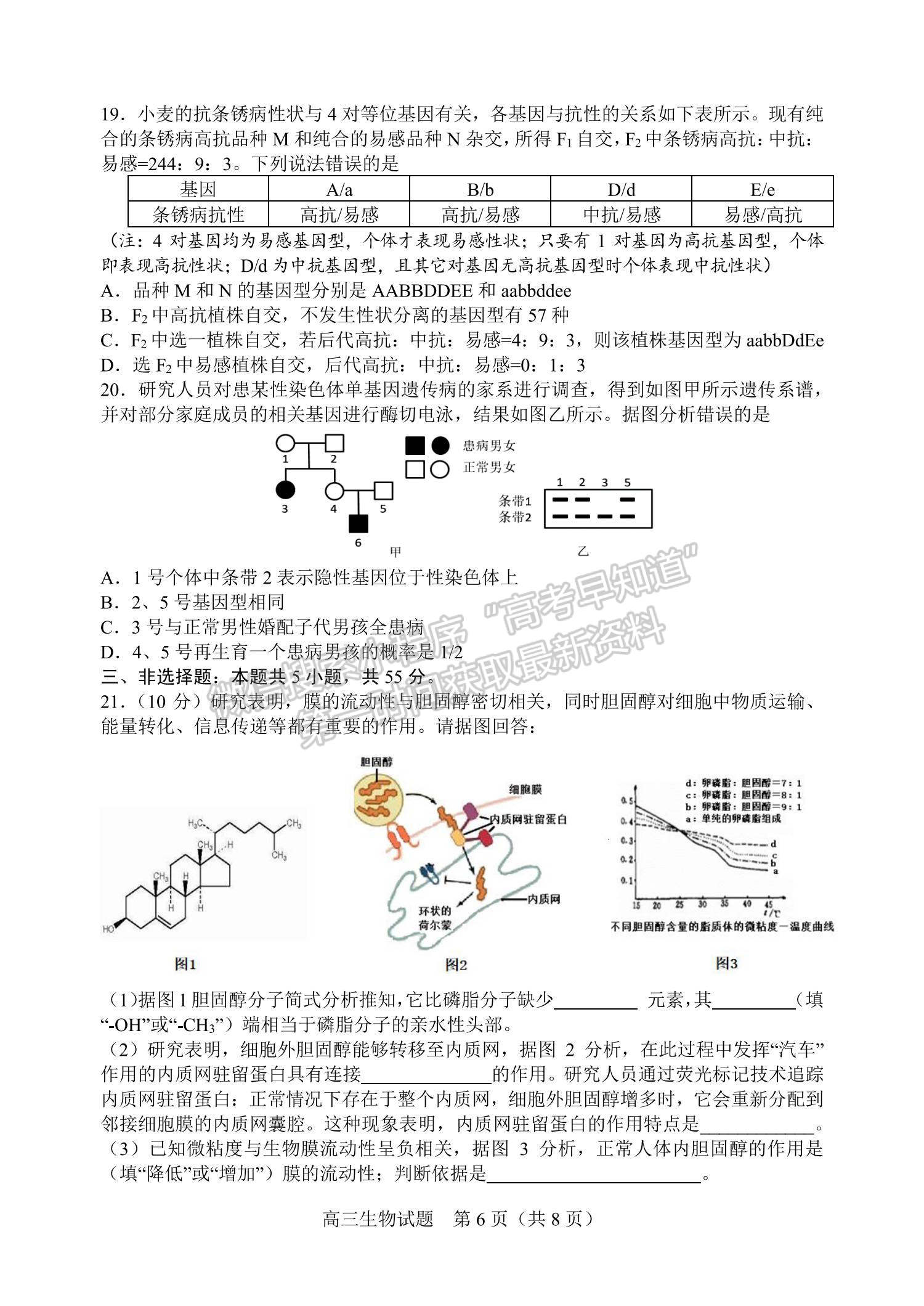 2022山東省濰坊安丘市等三縣高三10月過程性測試生物試題及參考答案