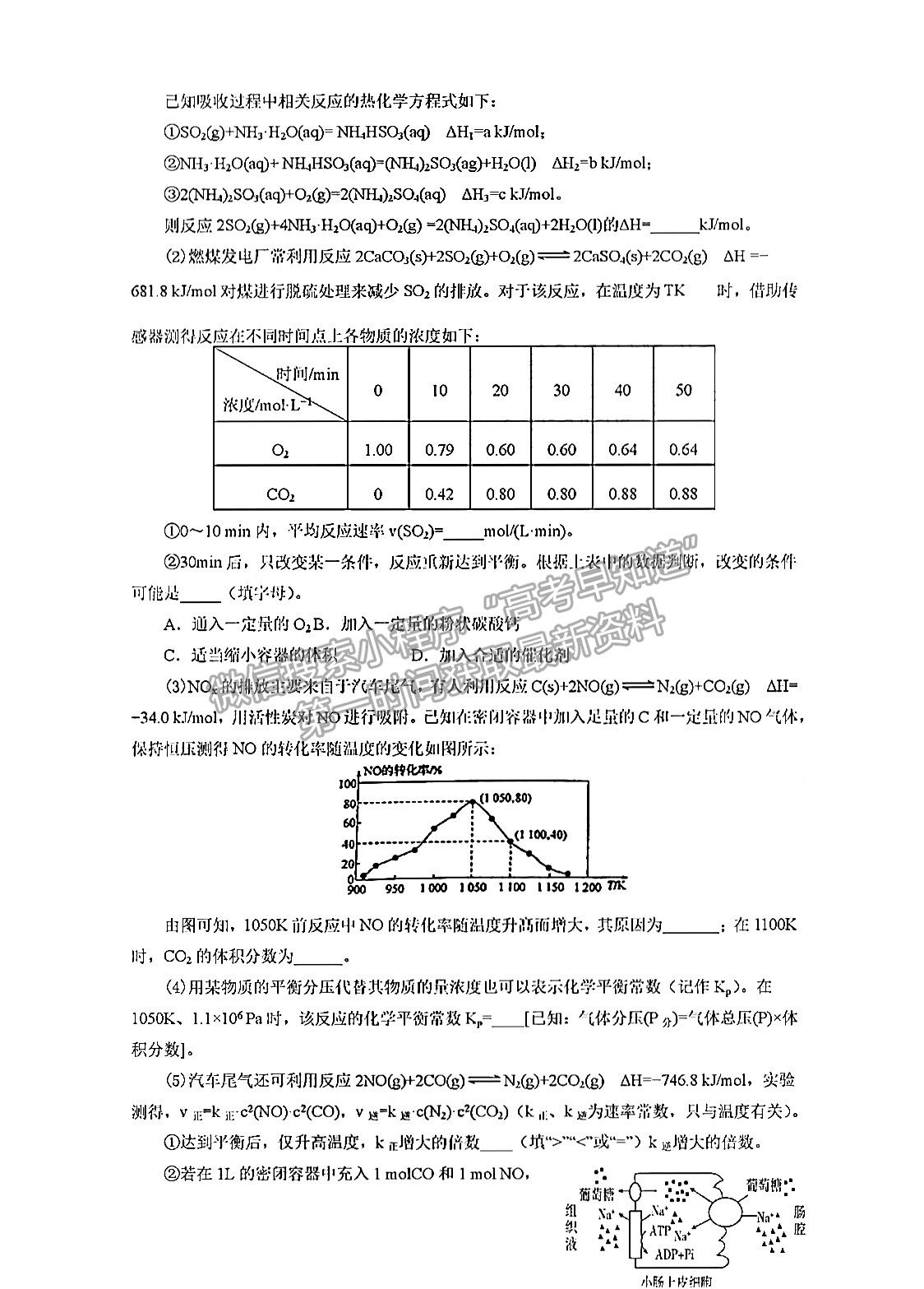 2022四川眉山彭山一中高三10月月考化學(xué)試卷及答案