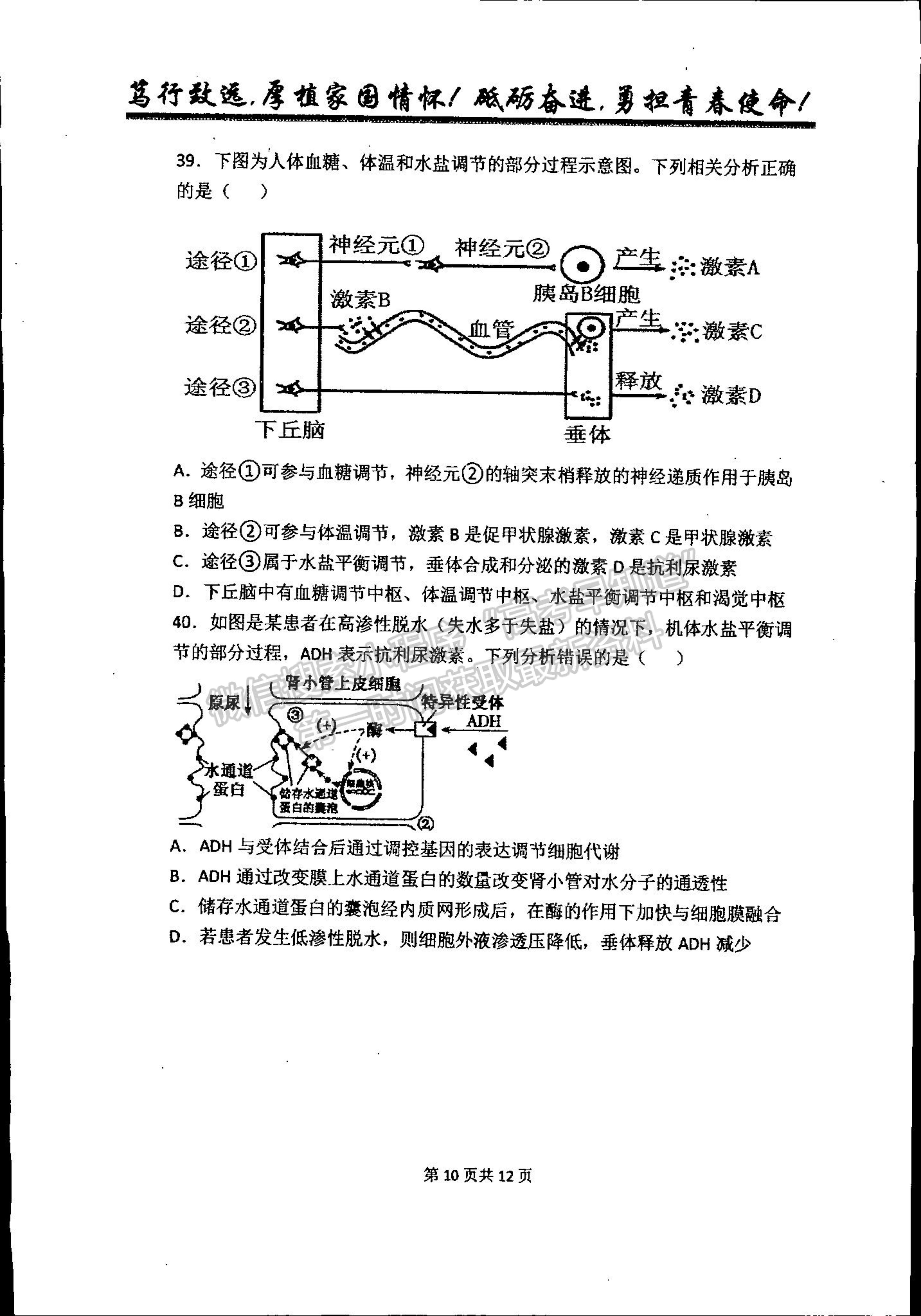 2022吉林省梅河口市第五中學(xué)高二上學(xué)期第一次月考生物試題及參考答案