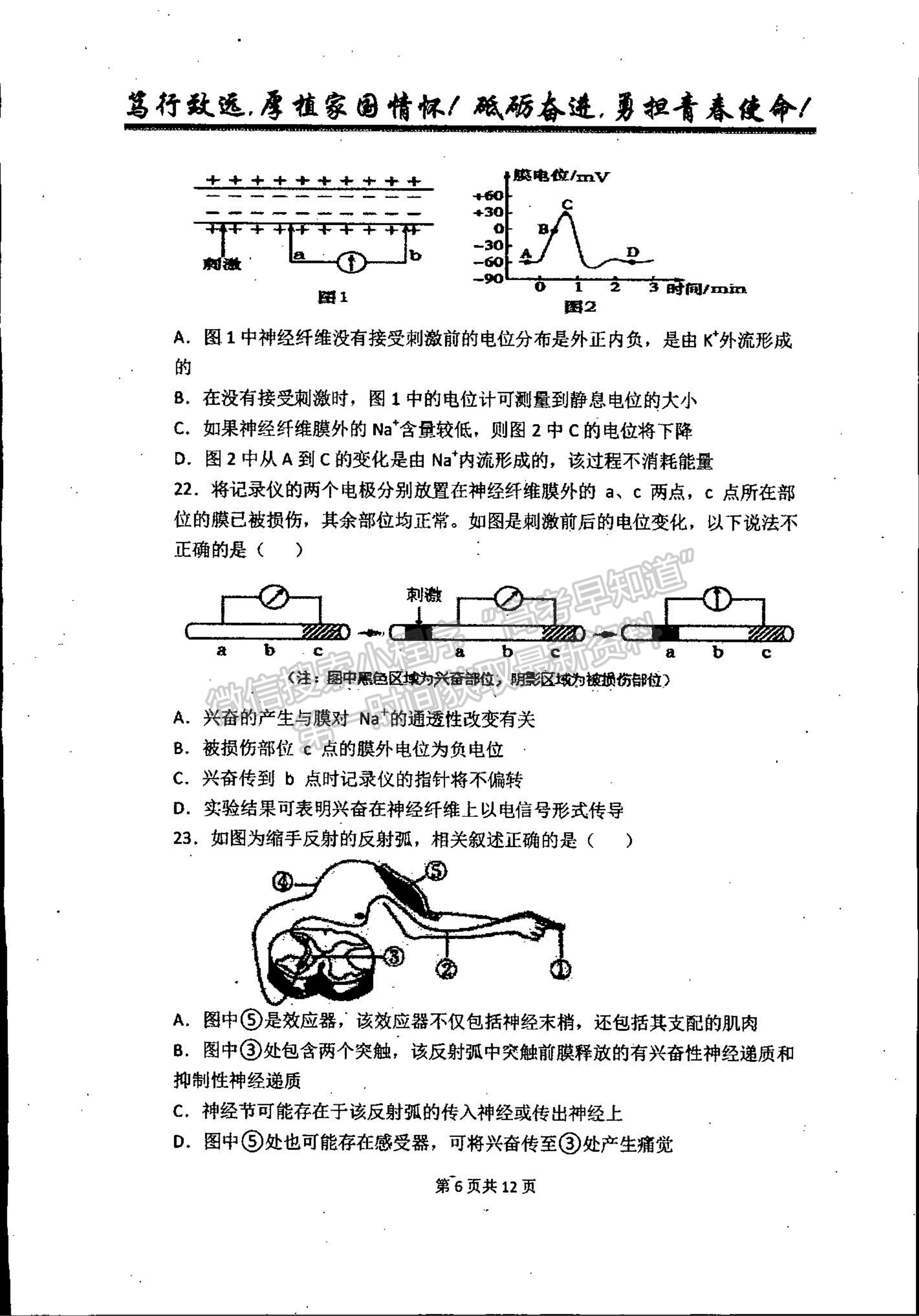 2022吉林省梅河口市第五中學高二上學期第一次月考生物試題及參考答案