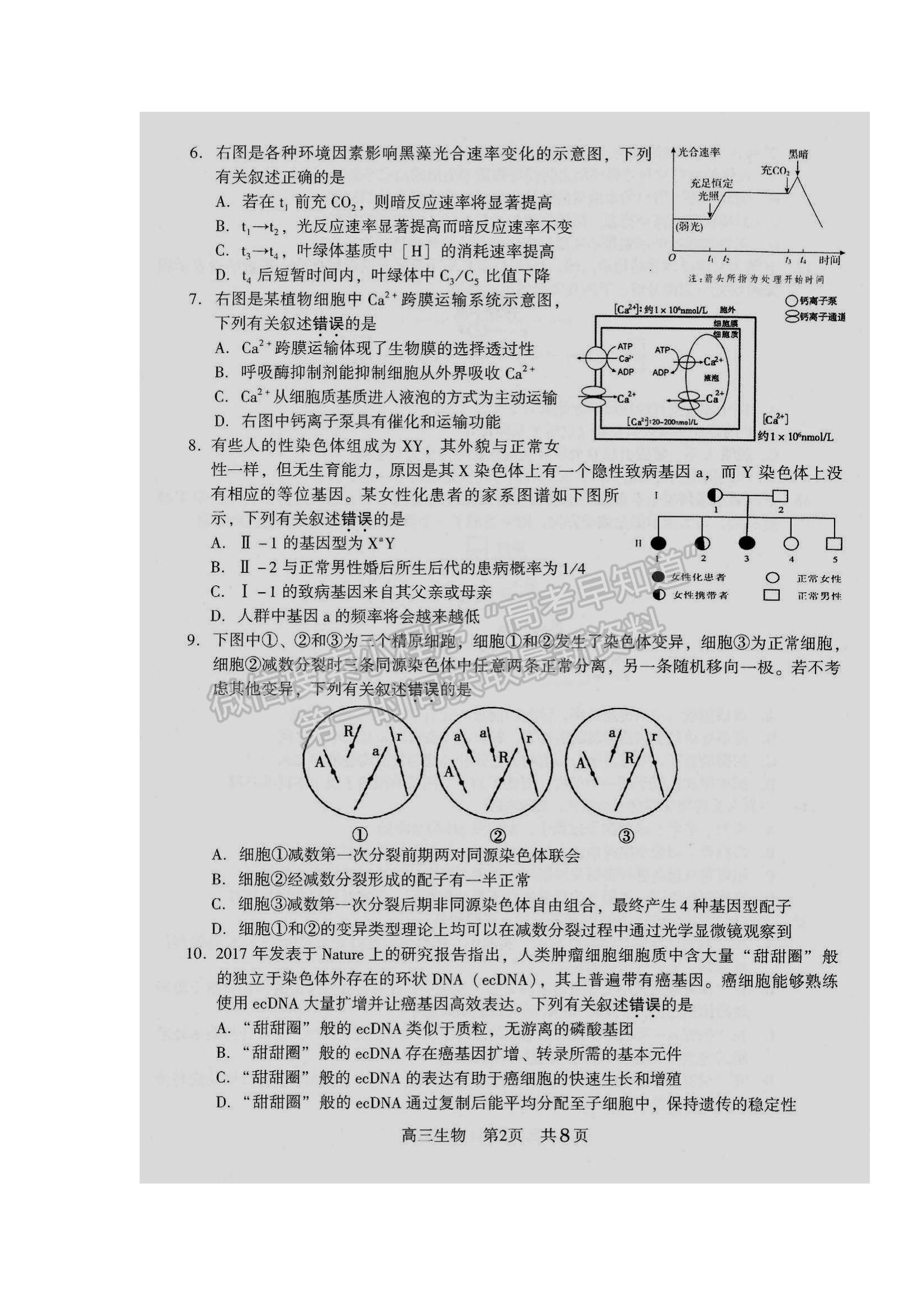 2022江蘇省常熟市高三上學期階段性抽測一生物試題及參考答案