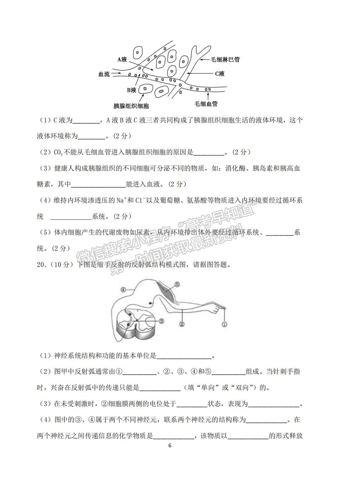 2022河北省衡水市武強中學(xué)高二上學(xué)期第一次月考生物試題及參考答案