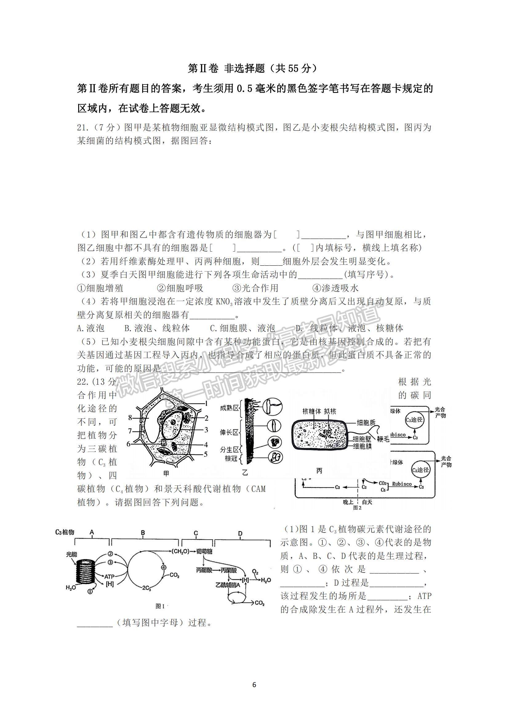 2022山東師大附中高三上學(xué)期第二次月考生物試題及參考答案