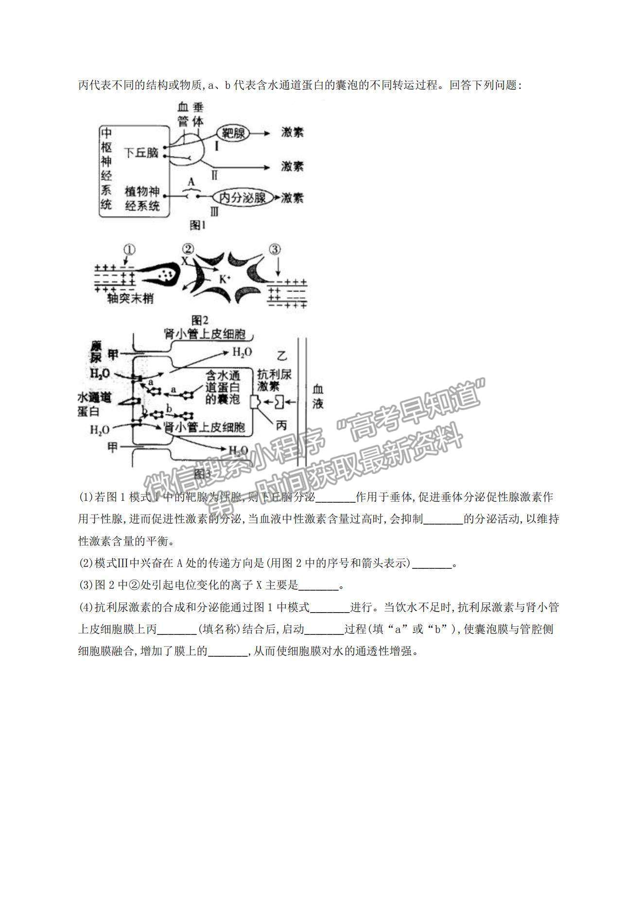 2022遼寧省營(yíng)口市第二高級(jí)中學(xué)高二上學(xué)期第一次月考生物試題及參考答案