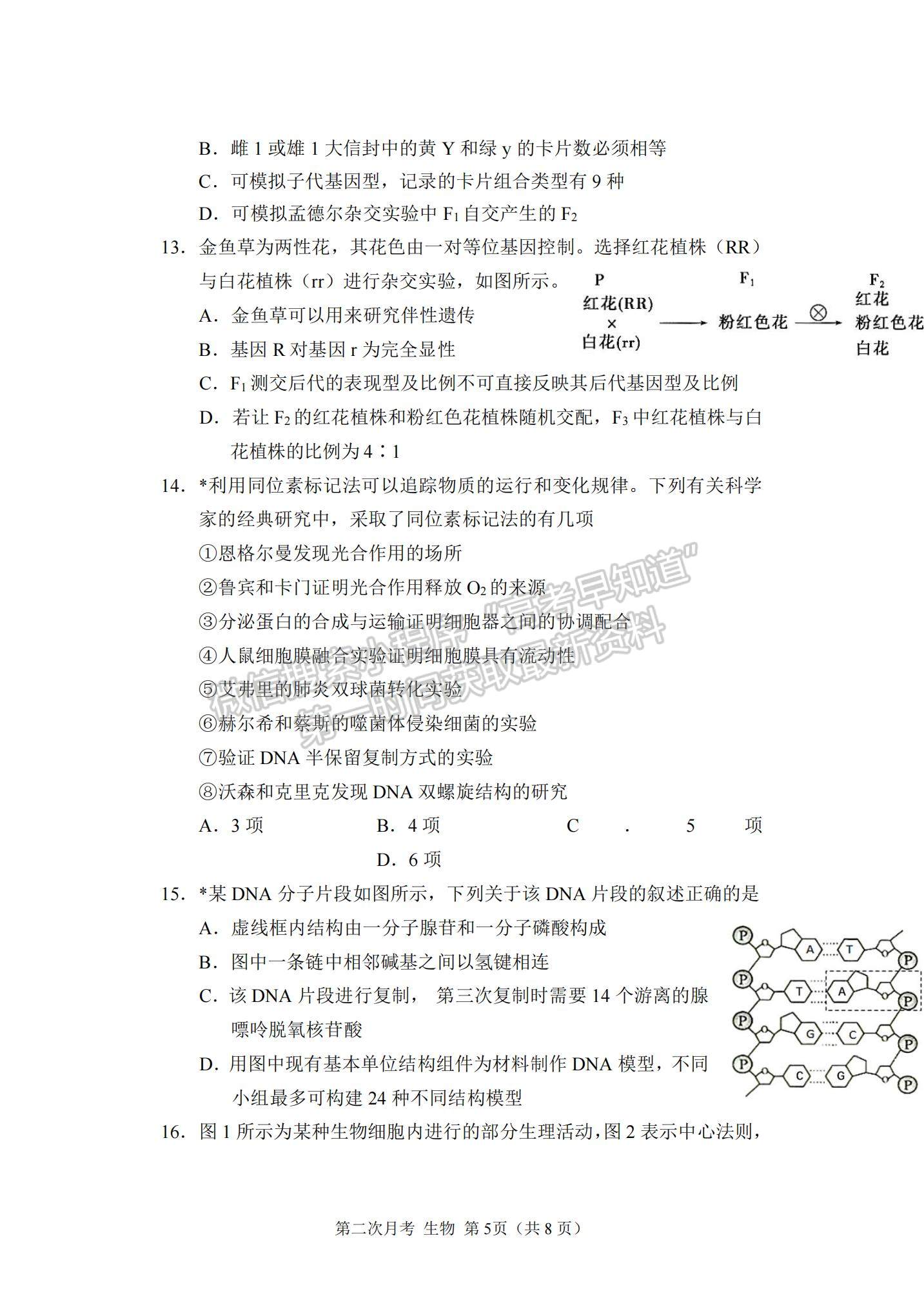 2022重慶市西南大學(xué)附中高三上學(xué)期第二次月考生物試題及參考答案