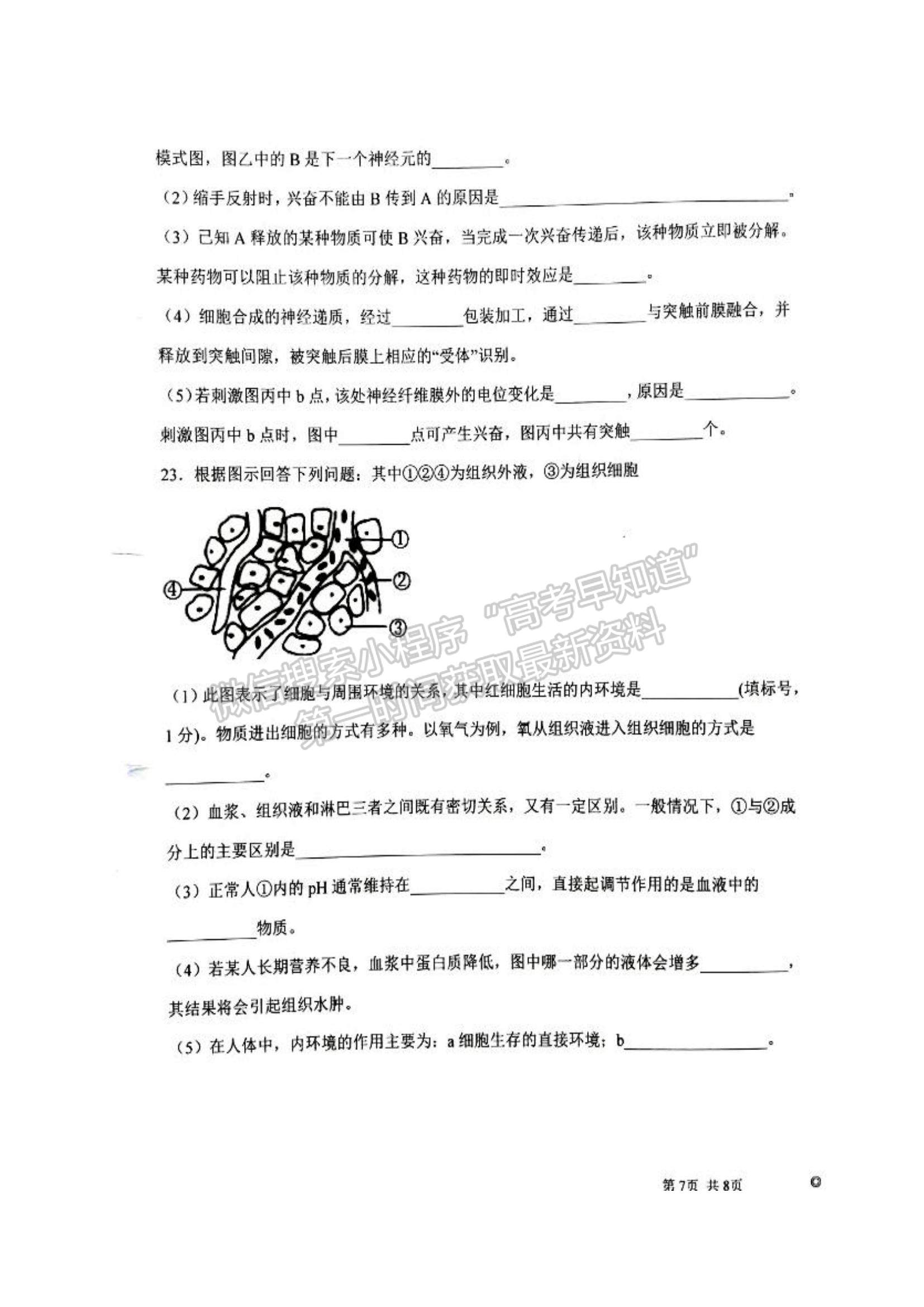 2022河北深州市長(zhǎng)江中學(xué)高二上學(xué)期10月月考生物試題及參考答案