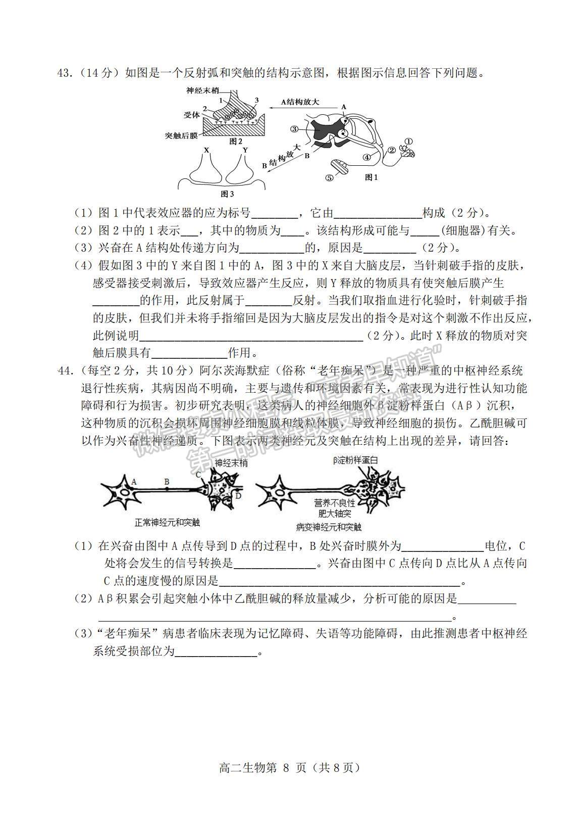 2022安徽省宿州市碭山中學(xué)高二上學(xué)期第一次質(zhì)量檢測生物試題及參考答案