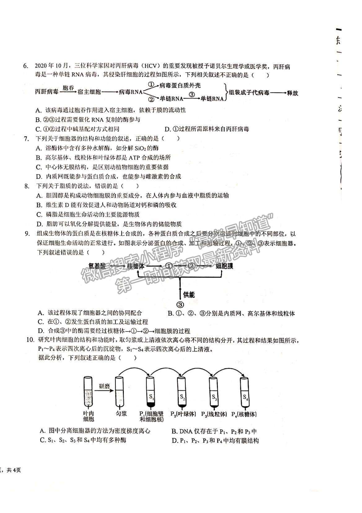 2022江西省景德鎮(zhèn)一中高三10月月考生物試題及參考答案