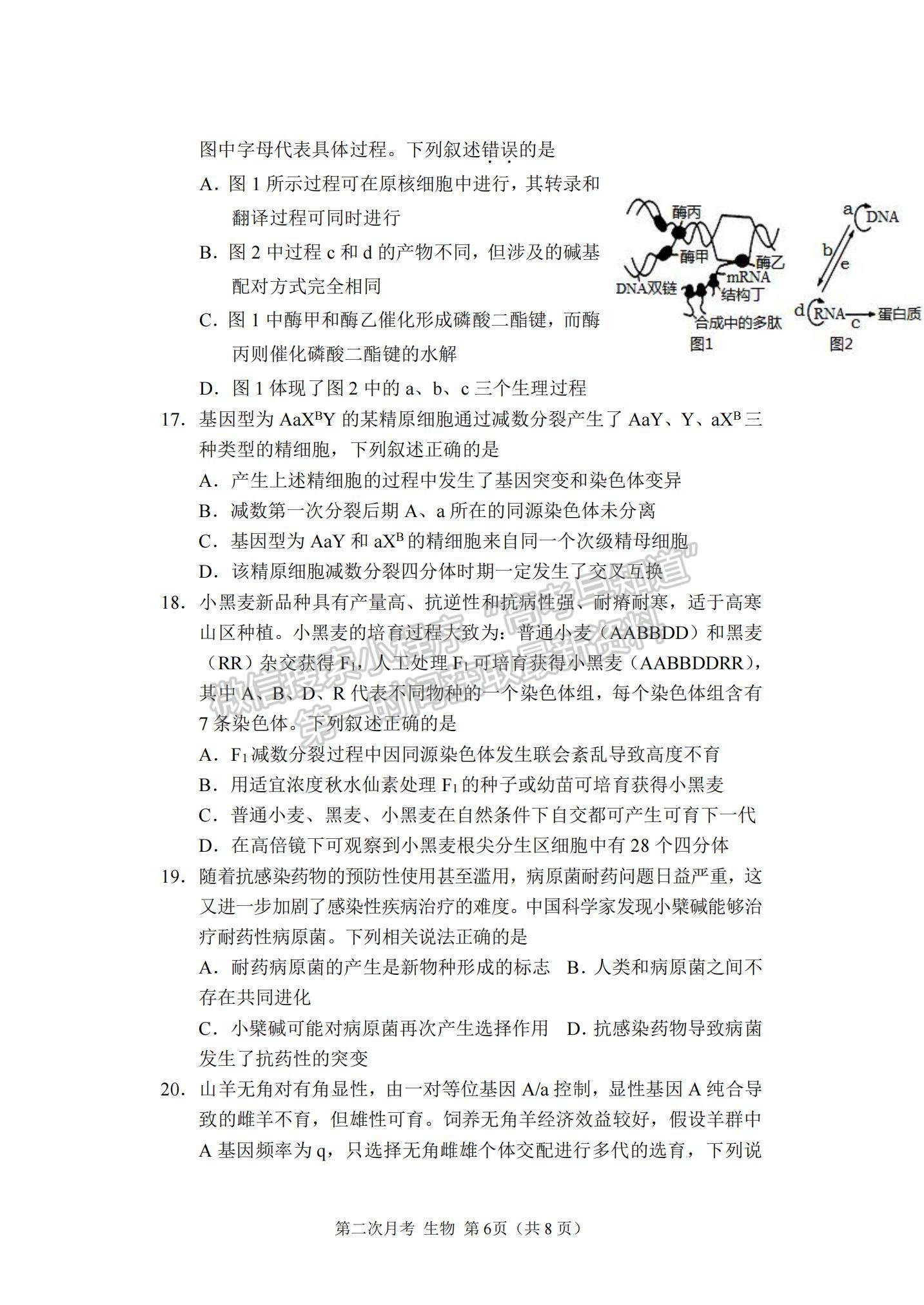 2022重慶市西南大學(xué)附中高三上學(xué)期第二次月考生物試題及參考答案