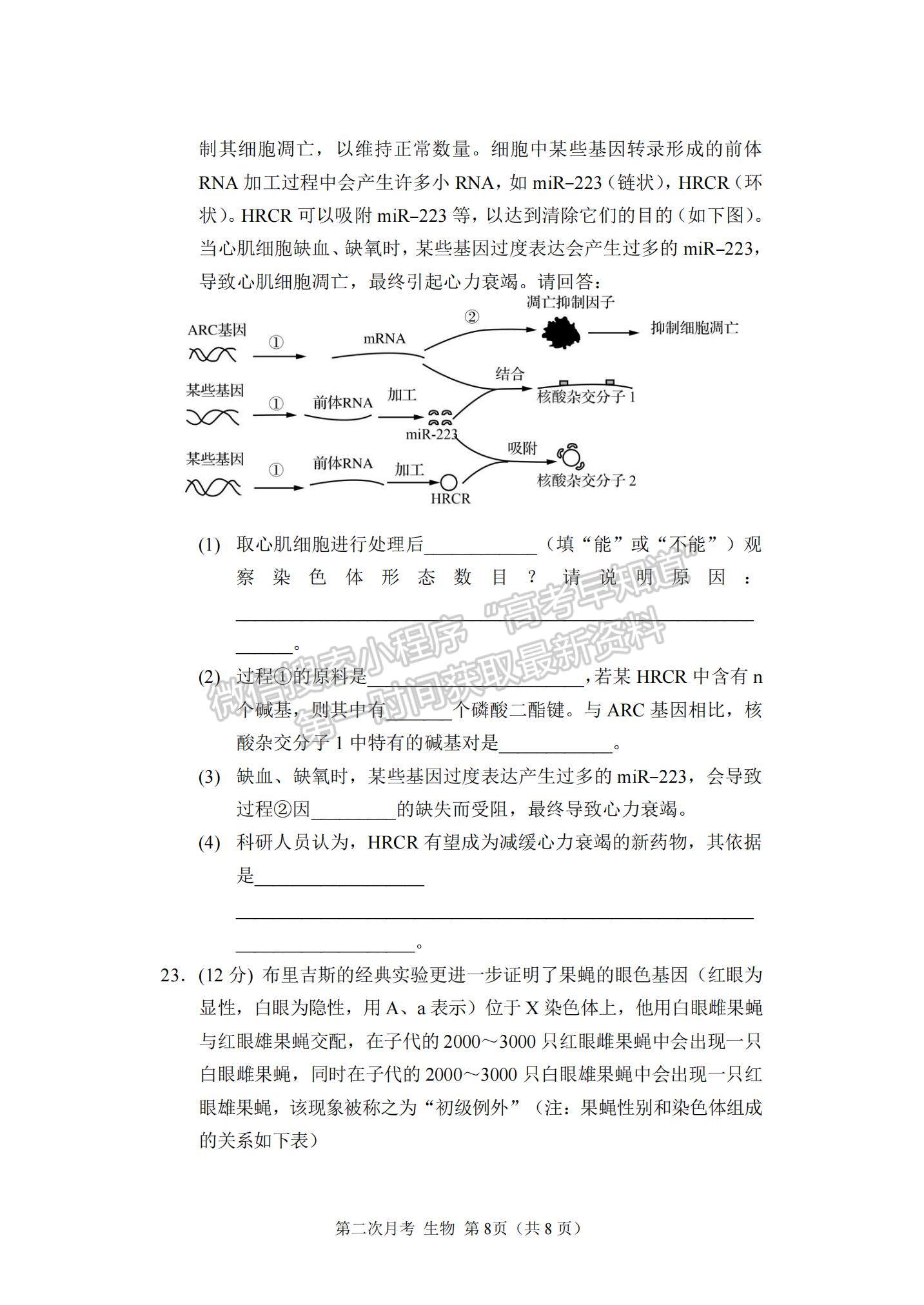 2022重慶市西南大學(xué)附中高三上學(xué)期第二次月考生物試題及參考答案