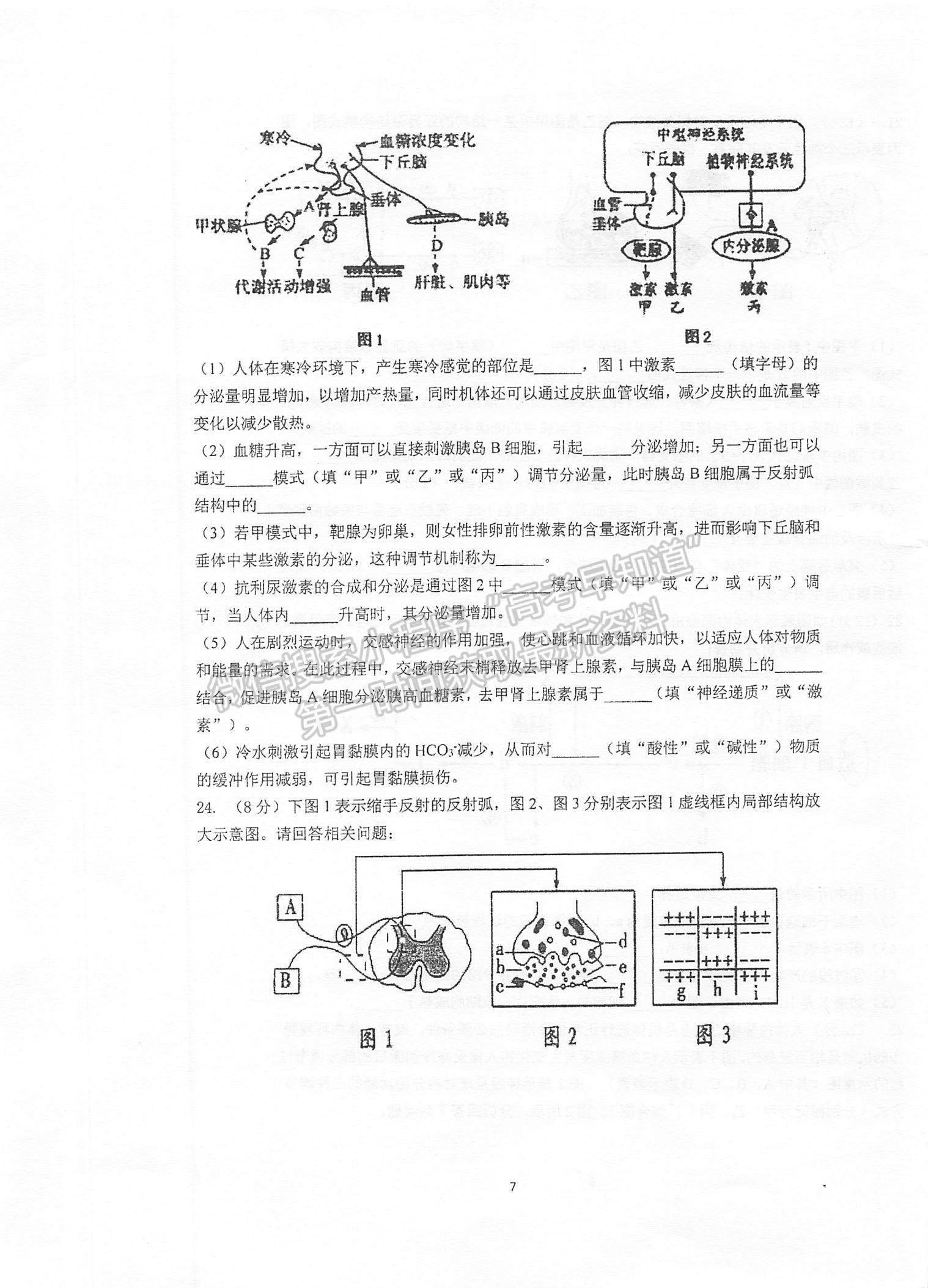 2022江蘇省泰州中學高二上學期第一次月度檢測生物試題及參考答案