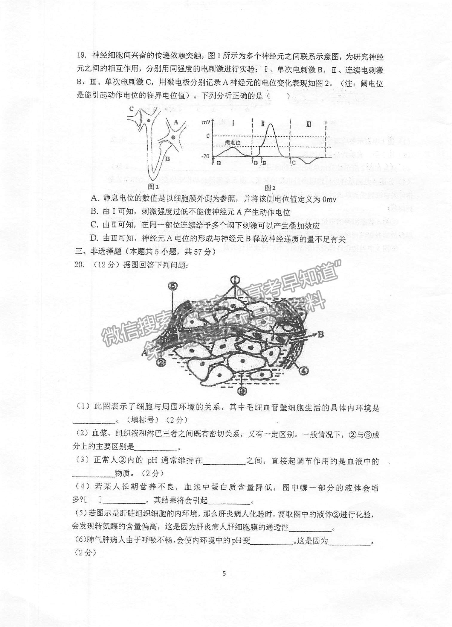 2022江蘇省泰州中學高二上學期第一次月度檢測生物試題及參考答案