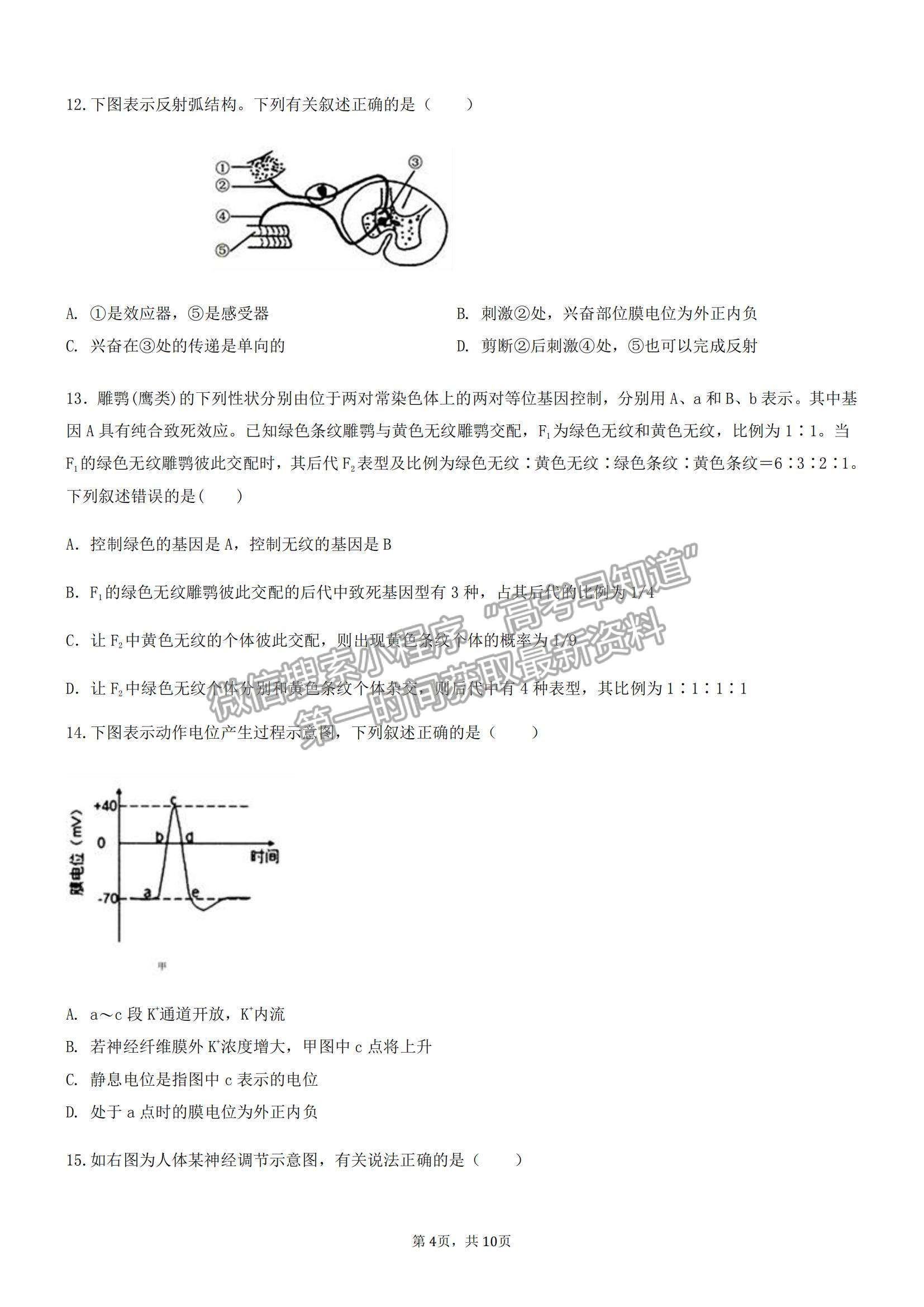 2022重慶市育才中學高二上學期第一次月考生物試題及參考答案