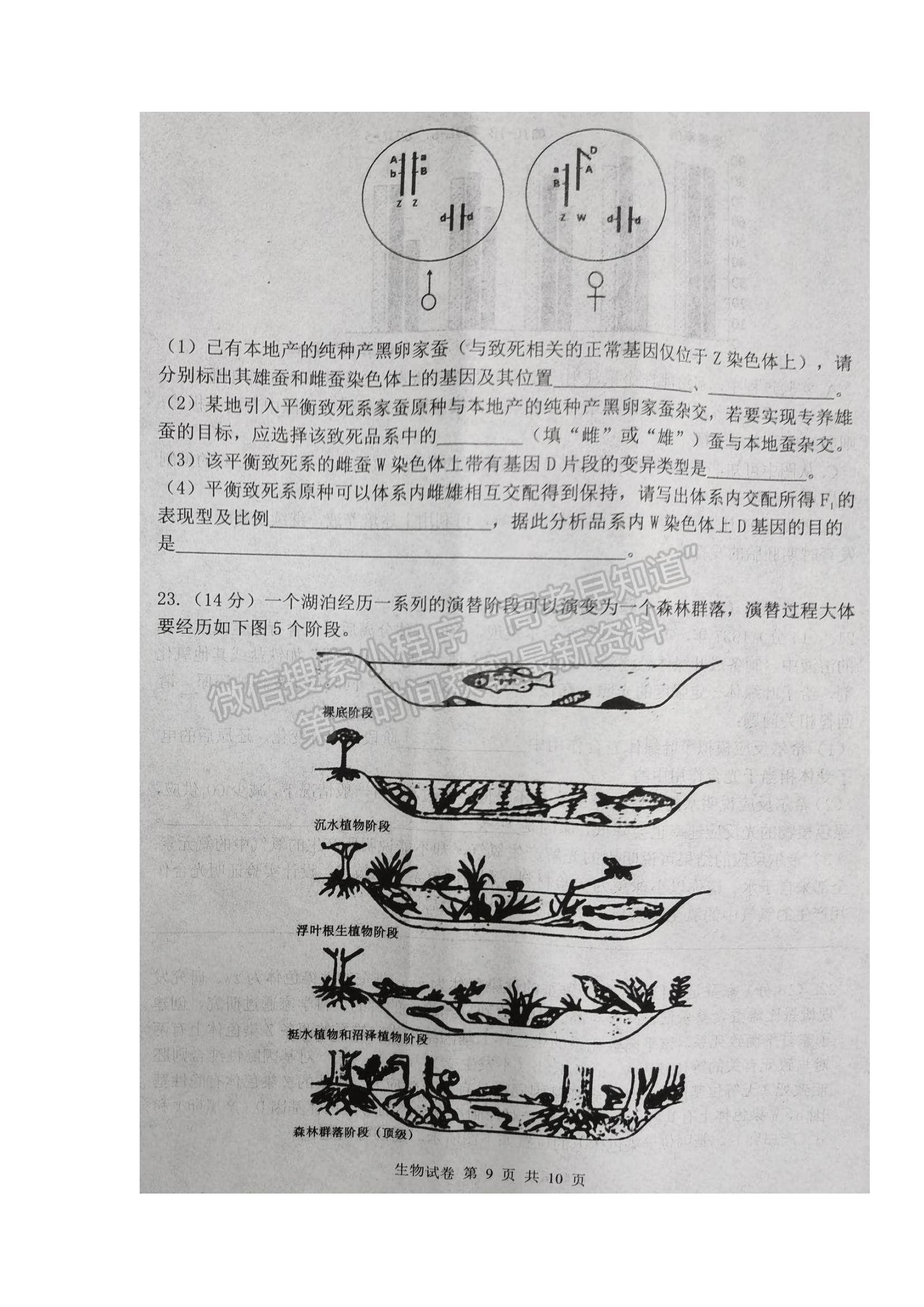 2022湖北省騰云聯(lián)盟高三上學期10月聯(lián)考生物試題及參考答案