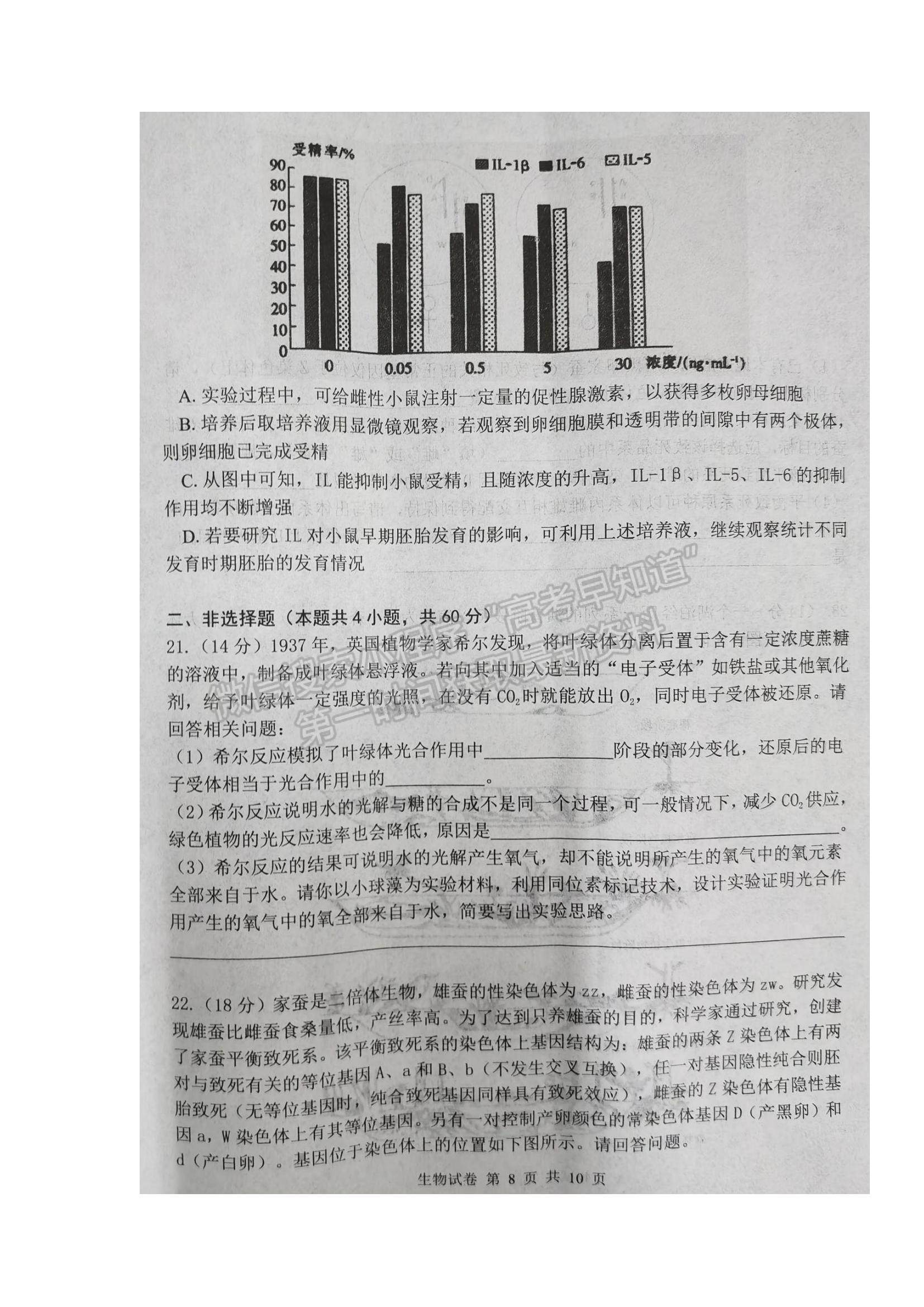 2022湖北省騰云聯(lián)盟高三上學期10月聯(lián)考生物試題及參考答案