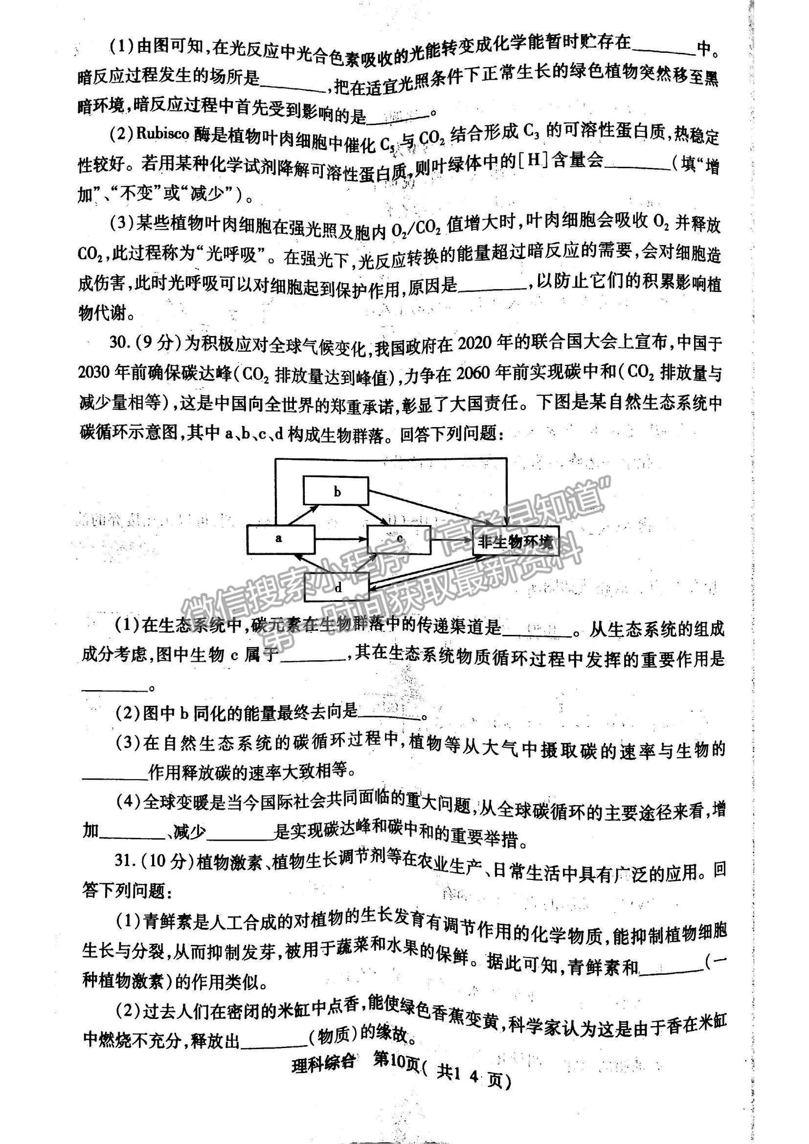 2022河南省許昌一模理綜試題及參考答案