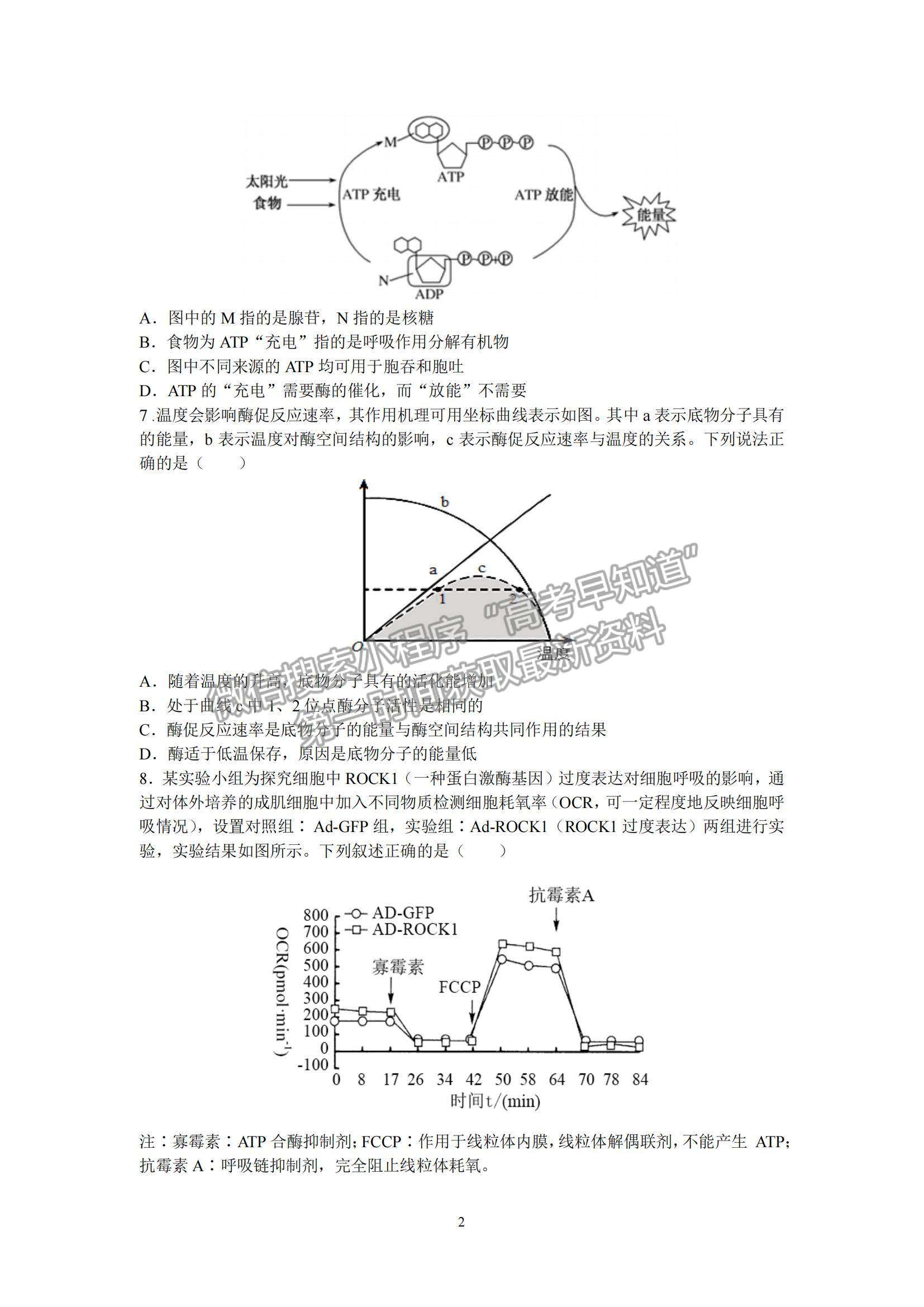 2022山東學情高三上學期10月聯(lián)合考試生物B卷試題及參考答案