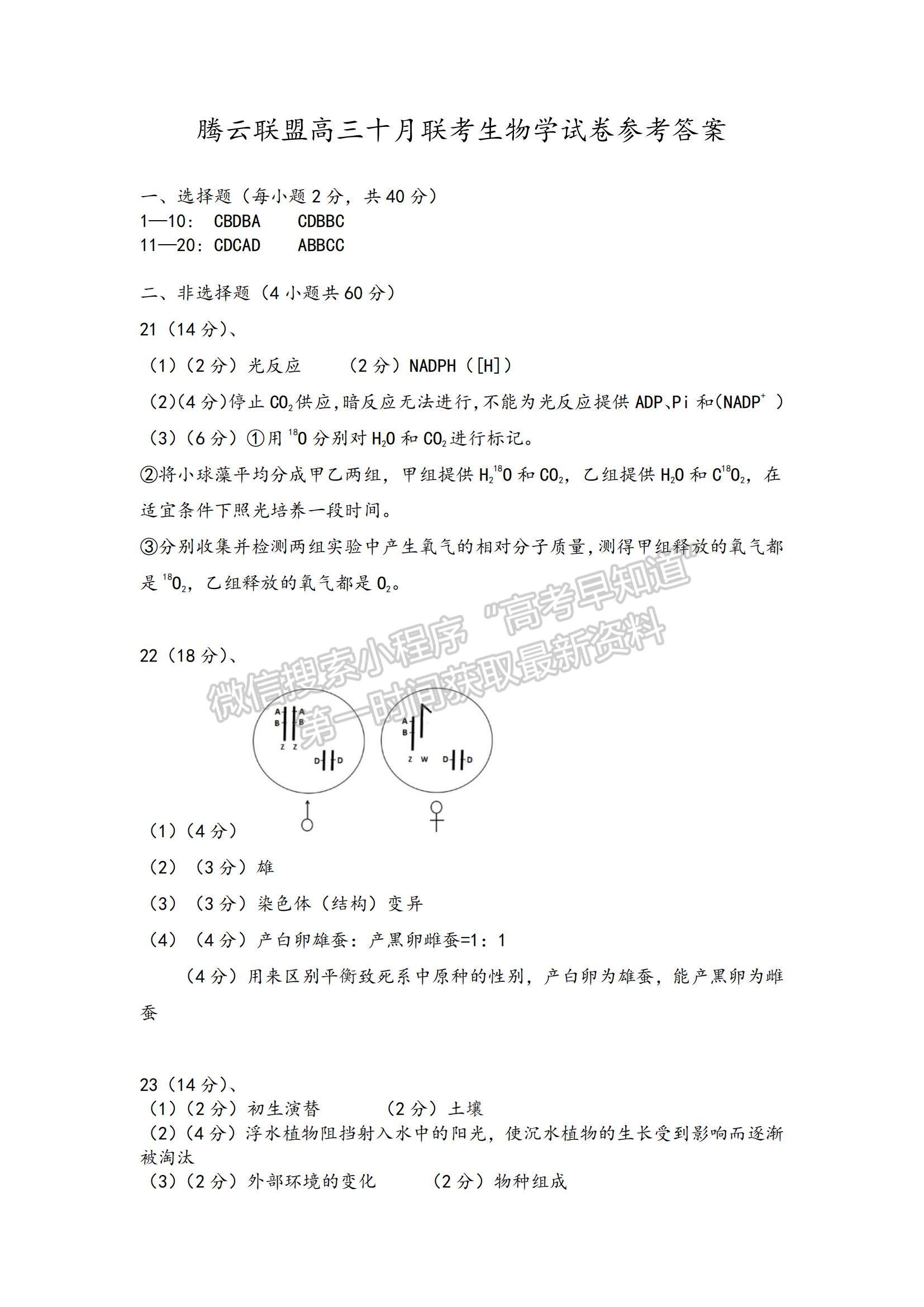 2022湖北省騰云聯(lián)盟高三上學期10月聯(lián)考生物試題及參考答案