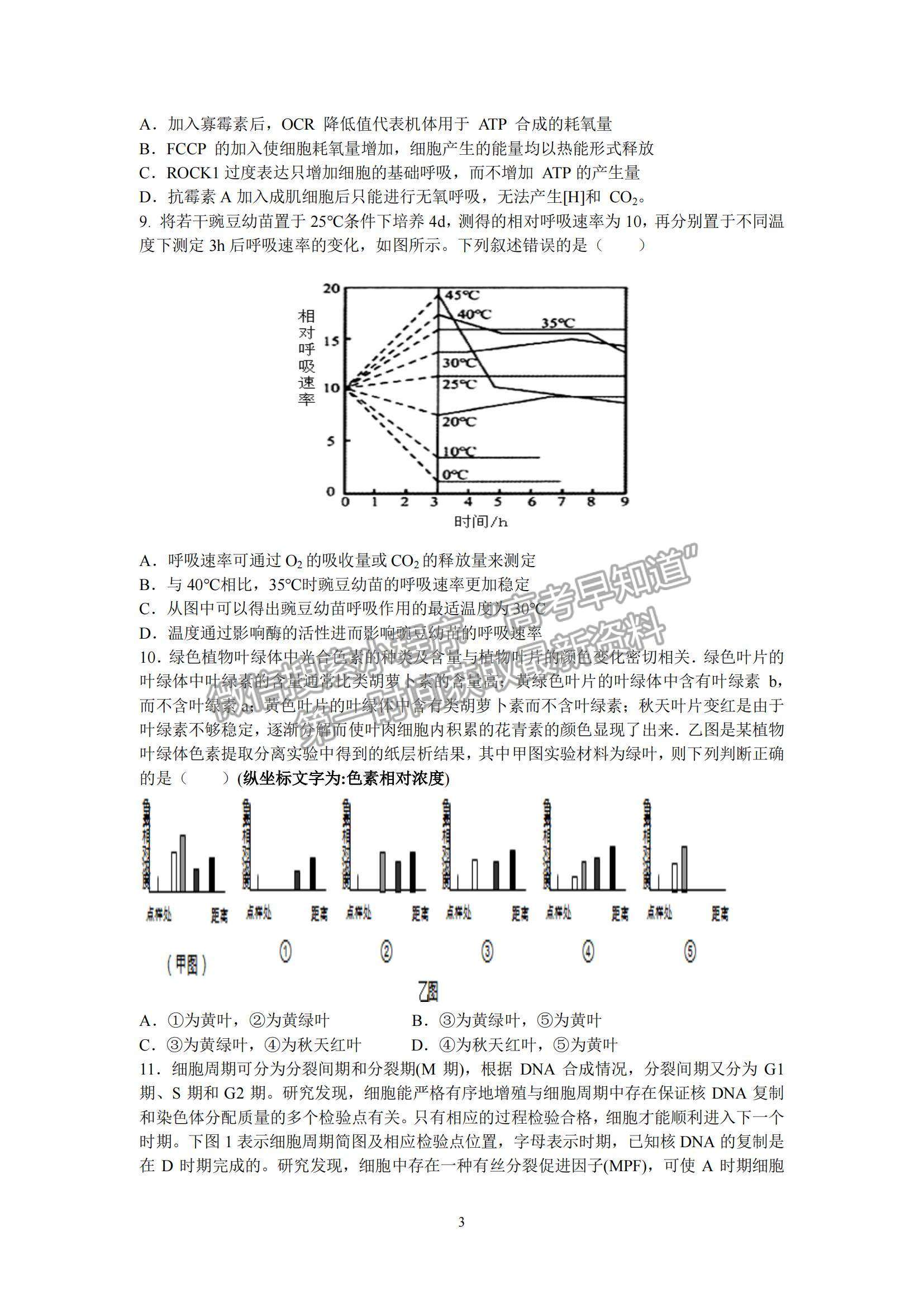 2022山東學(xué)情高三上學(xué)期10月聯(lián)合考試生物B卷試題及參考答案