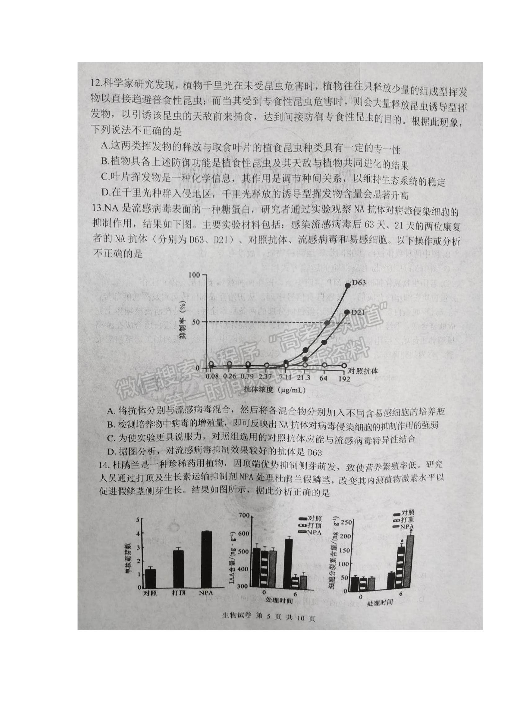 2022湖北省騰云聯(lián)盟高三上學(xué)期10月聯(lián)考生物試題及參考答案