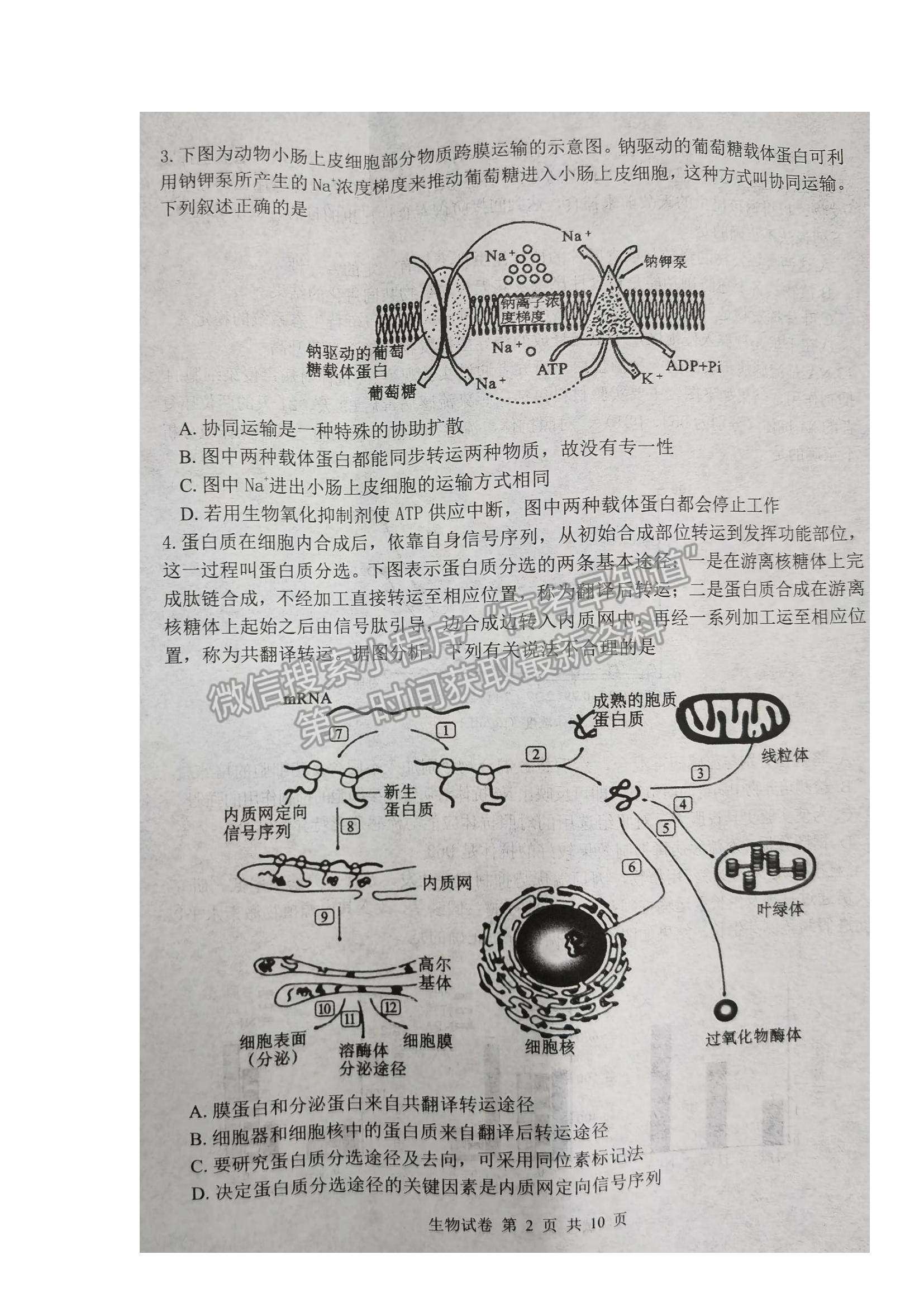 2022湖北省騰云聯(lián)盟高三上學期10月聯(lián)考生物試題及參考答案