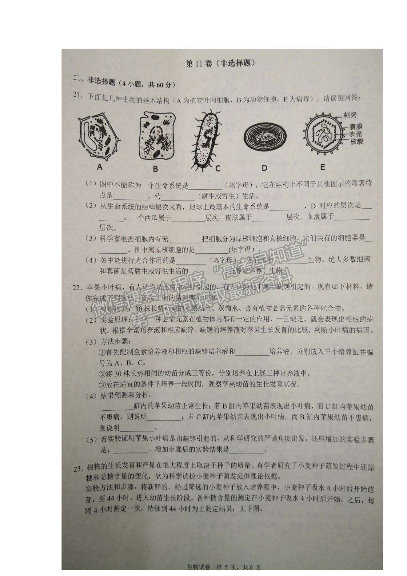 2022湖北省東南新高考聯(lián)盟高一上學(xué)期10月聯(lián)考生物試題及參考答案