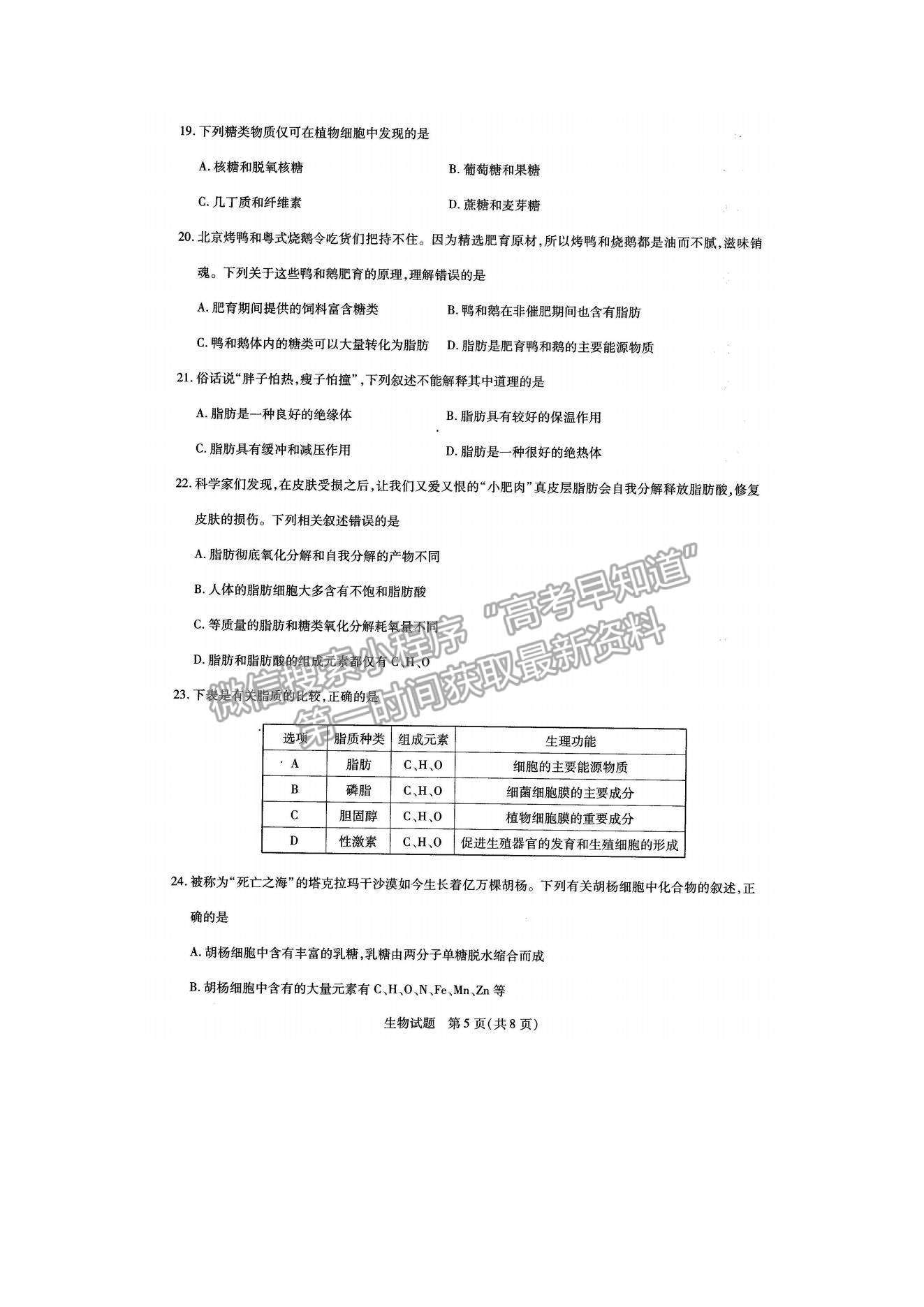 2022河南大聯(lián)考高一上學(xué)期階段性測(cè)試（一）生物試題及參考答案