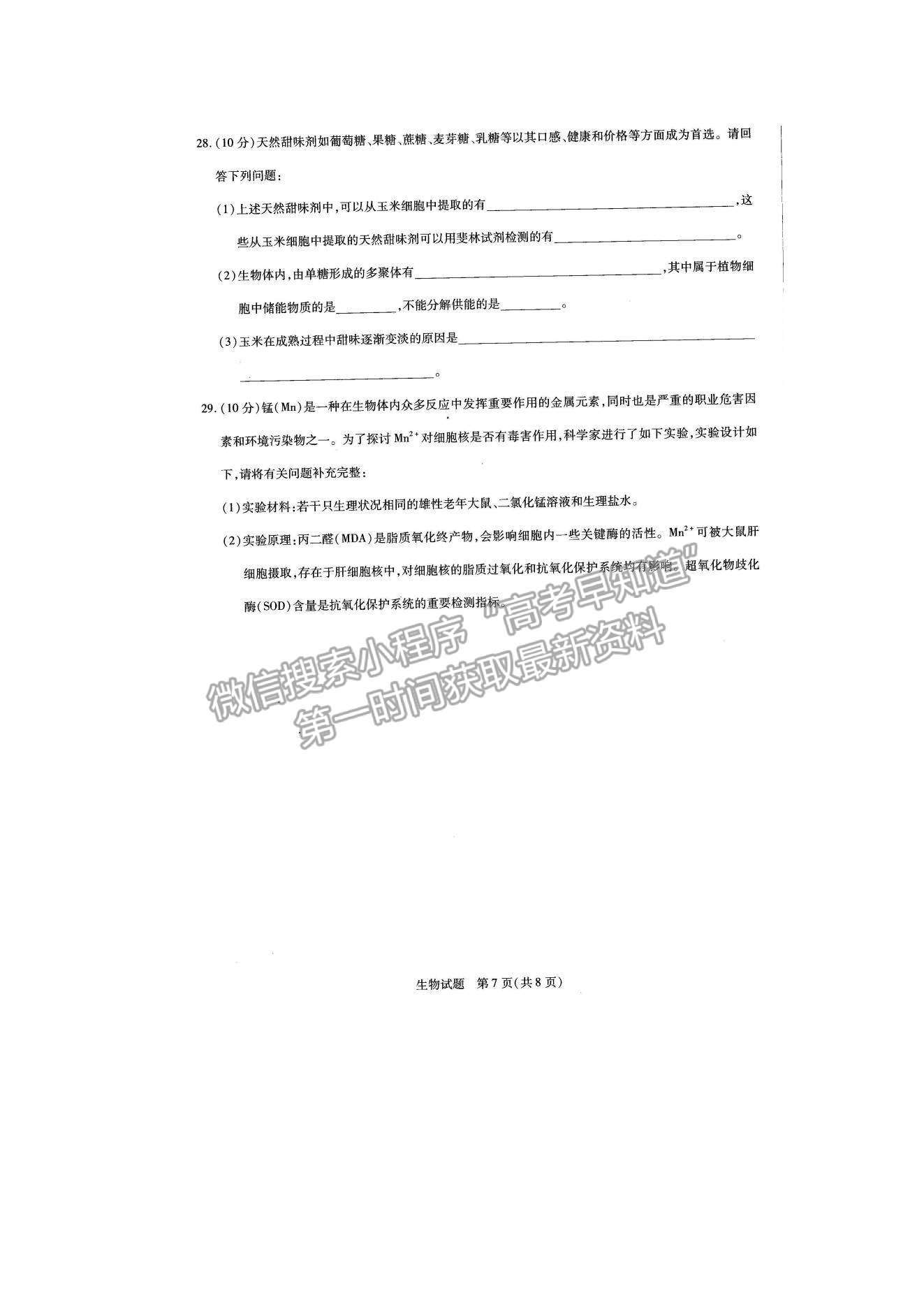 2022河南大聯(lián)考高一上學(xué)期階段性測試（一）生物試題及參考答案