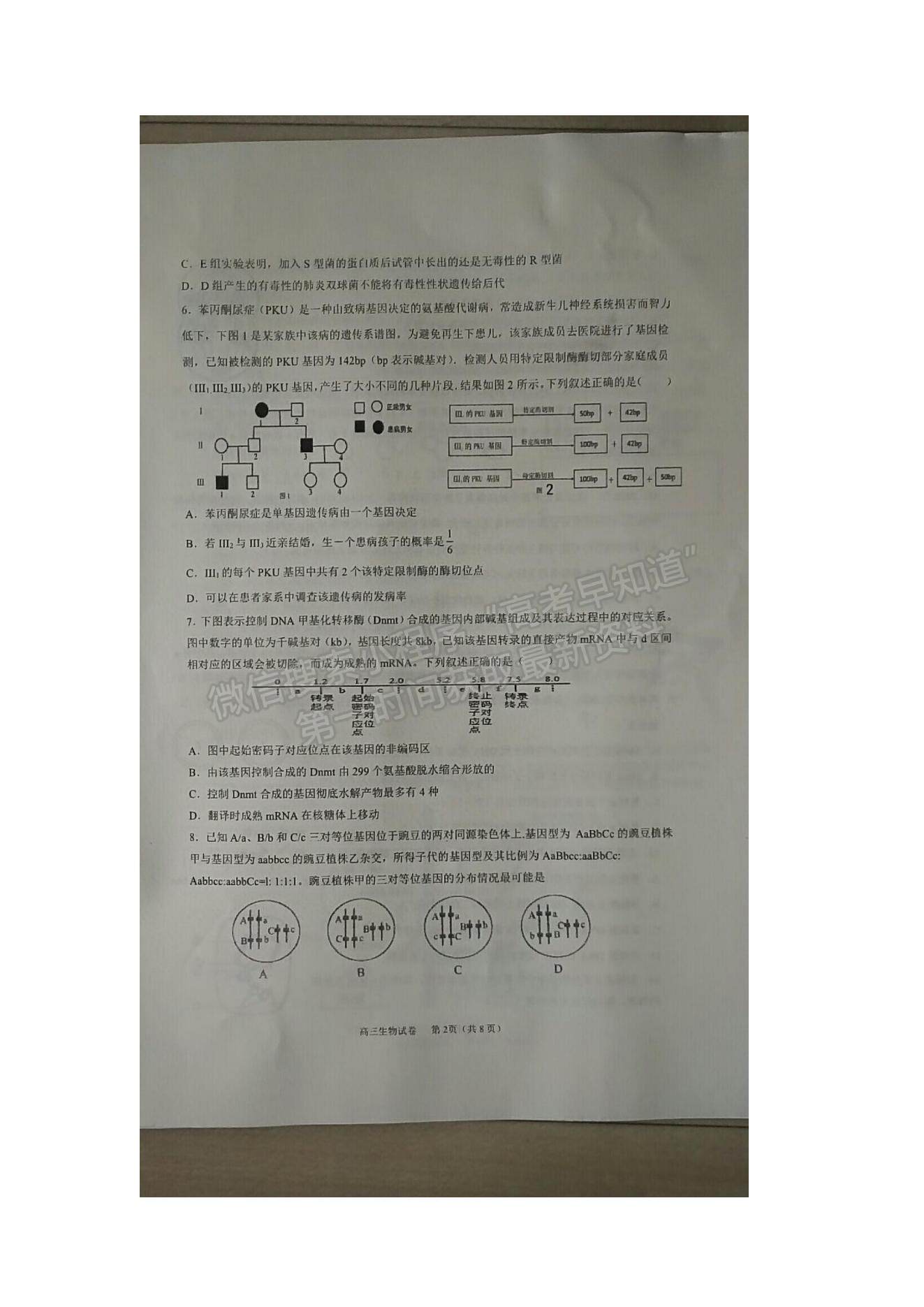 2022江蘇省海安市實驗中學(xué)高三上學(xué)期第一次月考生物試題及參考答案