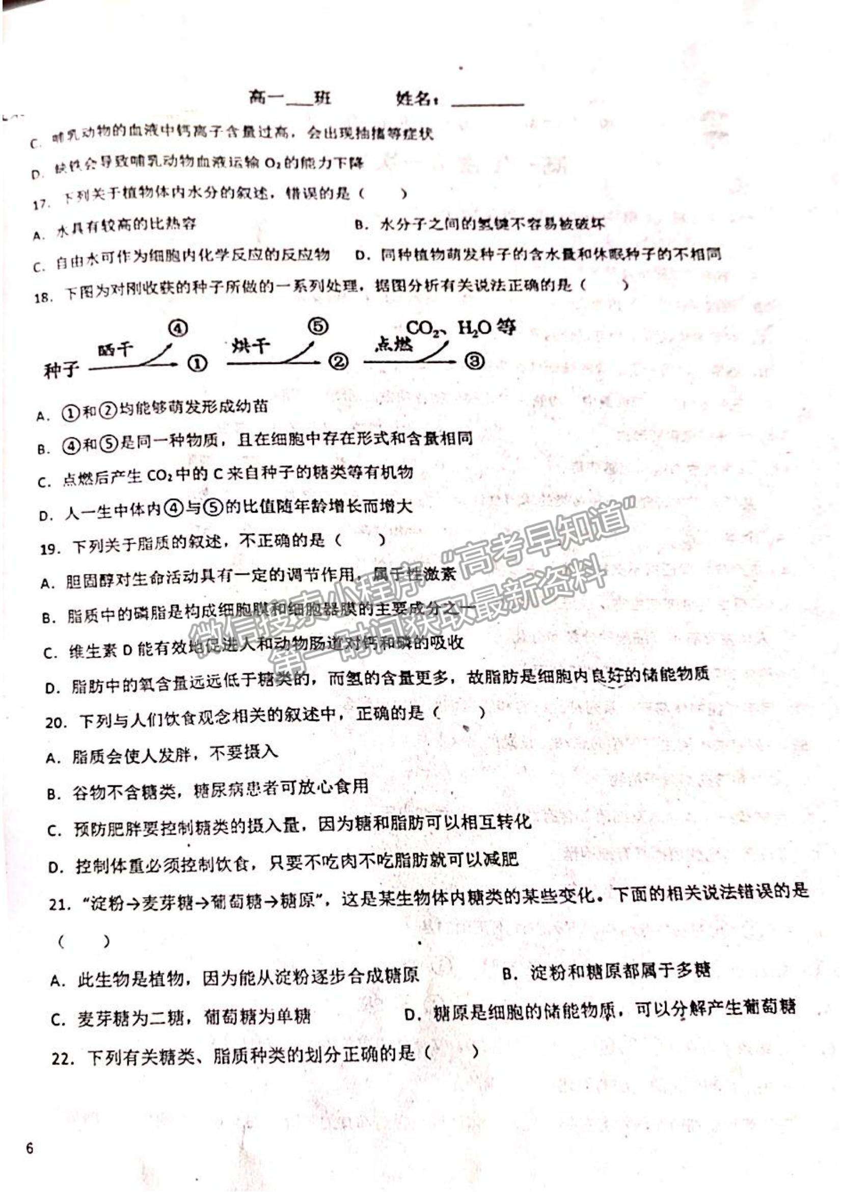 2022山東省聊城市陽(yáng)谷縣第三中學(xué)高一10月月考生物試題及參考答案