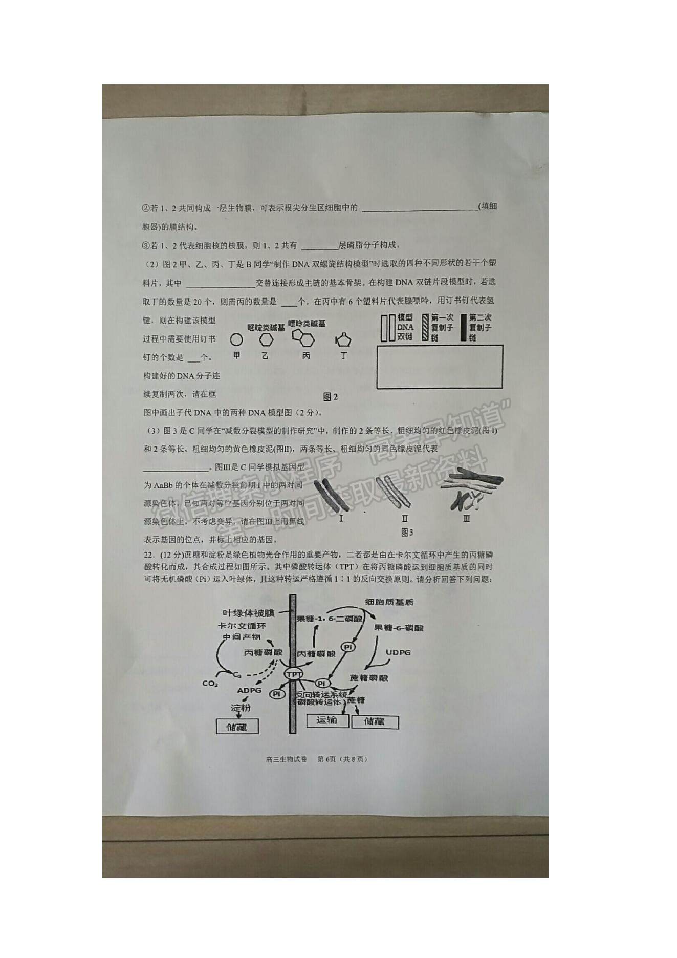 2022江蘇省海安市實(shí)驗(yàn)中學(xué)高三上學(xué)期第一次月考生物試題及參考答案