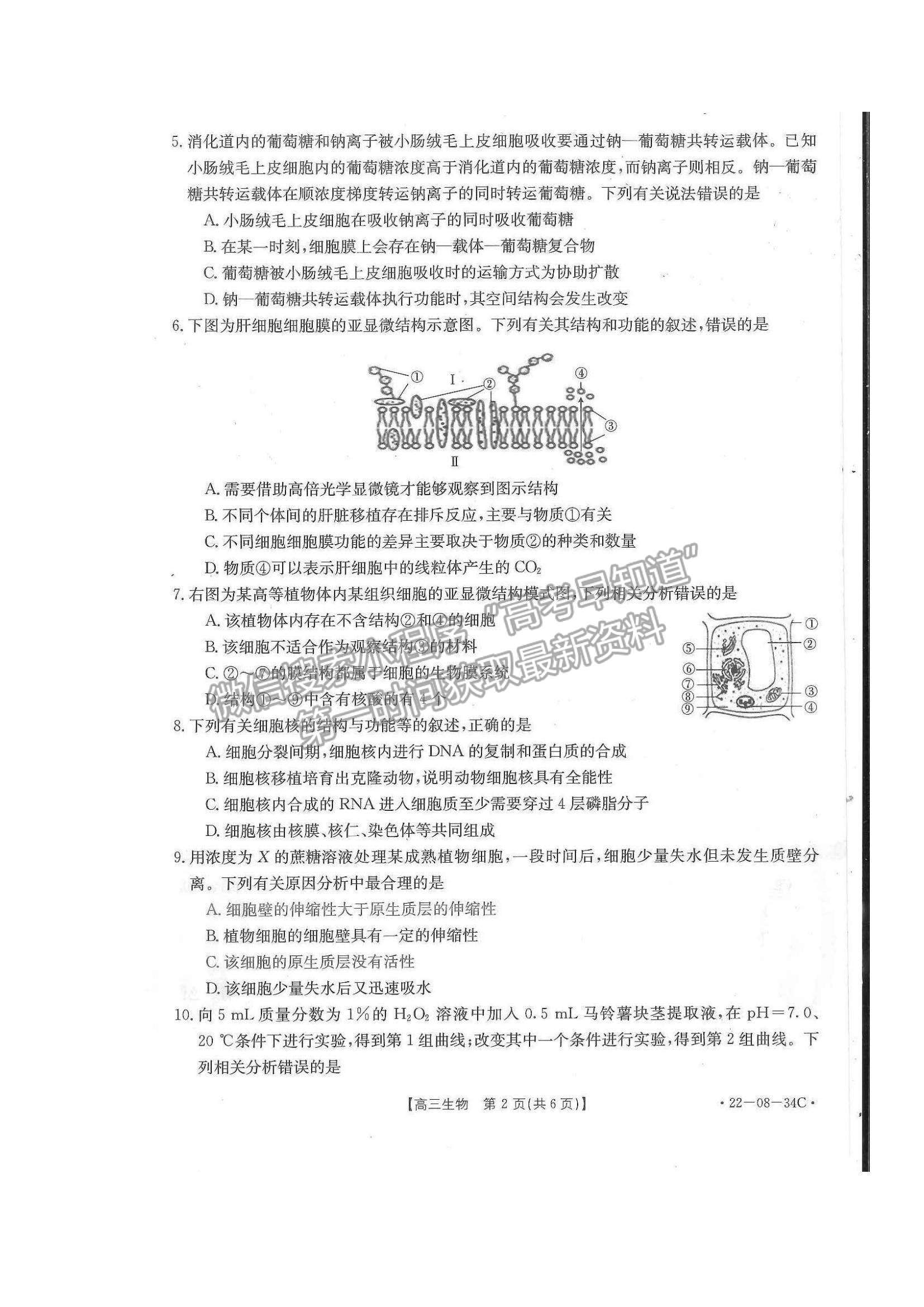 2022湖北百校聯(lián)考10月聯(lián)考（角標(biāo)：22-08-34C）生物試題及答案