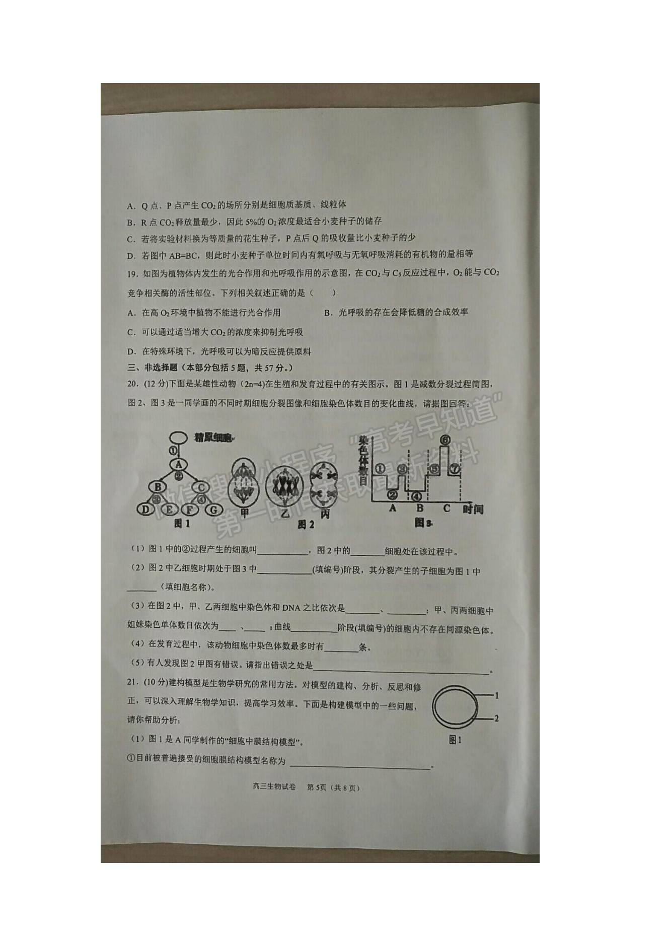 2022江蘇省海安市實(shí)驗(yàn)中學(xué)高三上學(xué)期第一次月考生物試題及參考答案