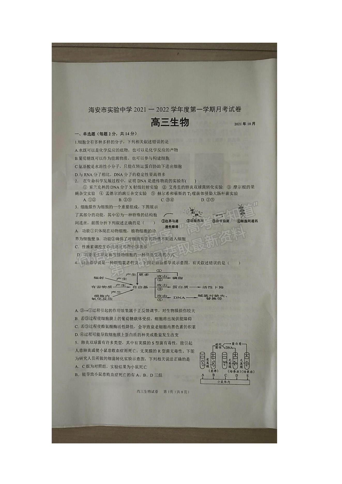 2022江蘇省海安市實驗中學(xué)高三上學(xué)期第一次月考生物試題及參考答案