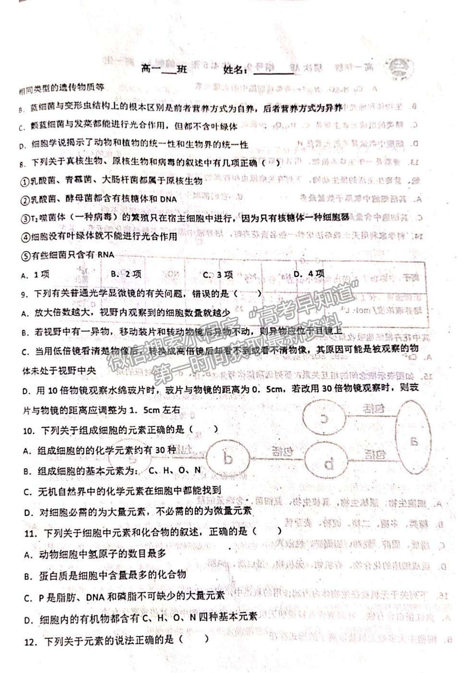 2022山東省聊城市陽谷縣第三中學高一10月月考生物試題及參考答案